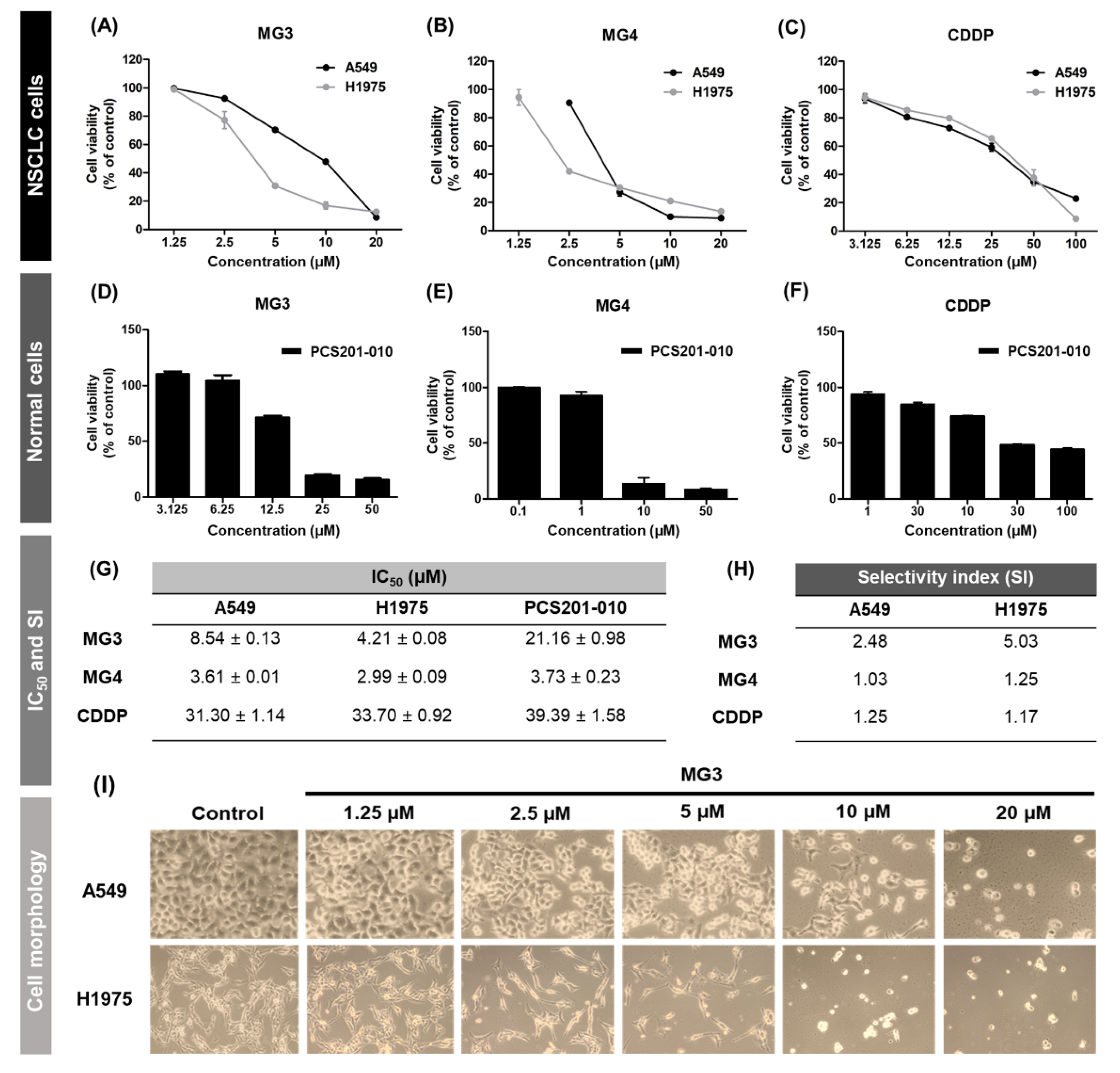 Cancers 11 00437 g002