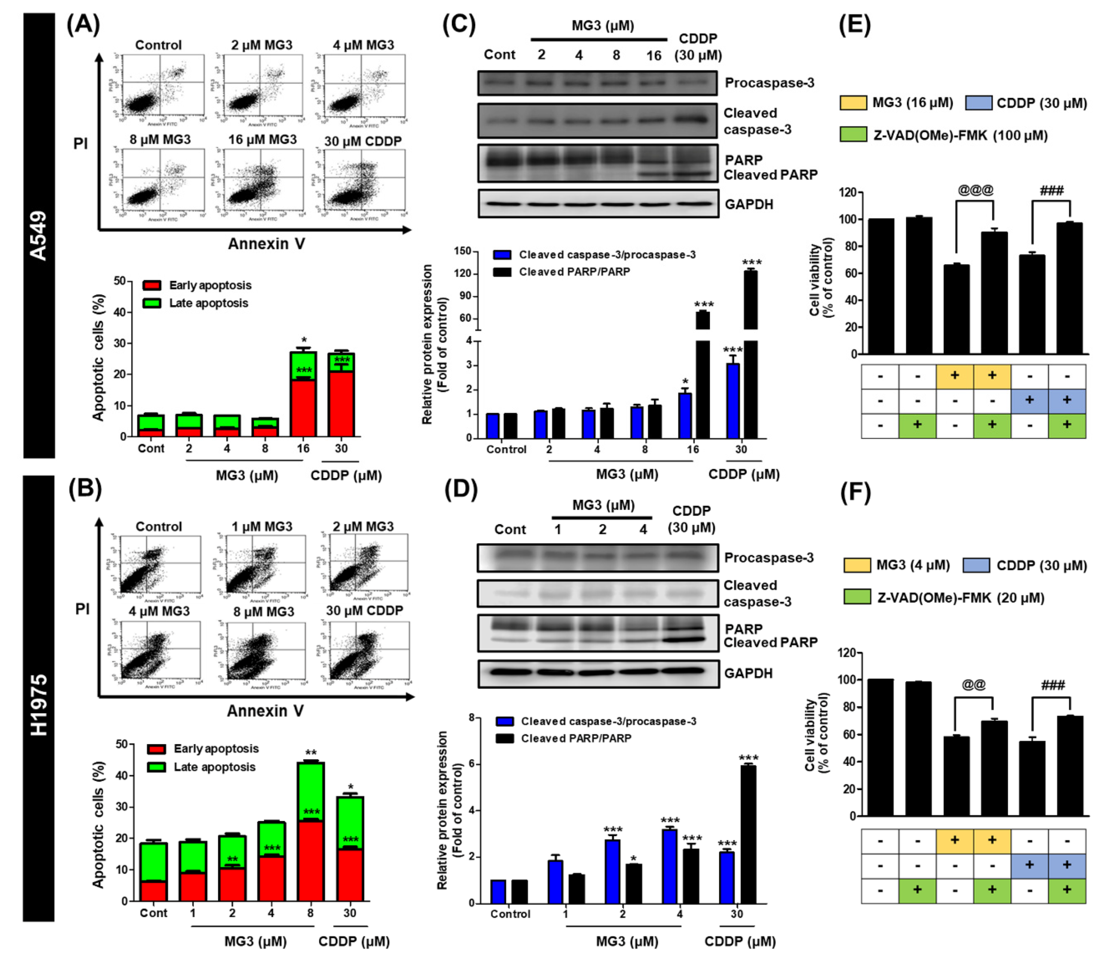 Cancers 11 00437 g003