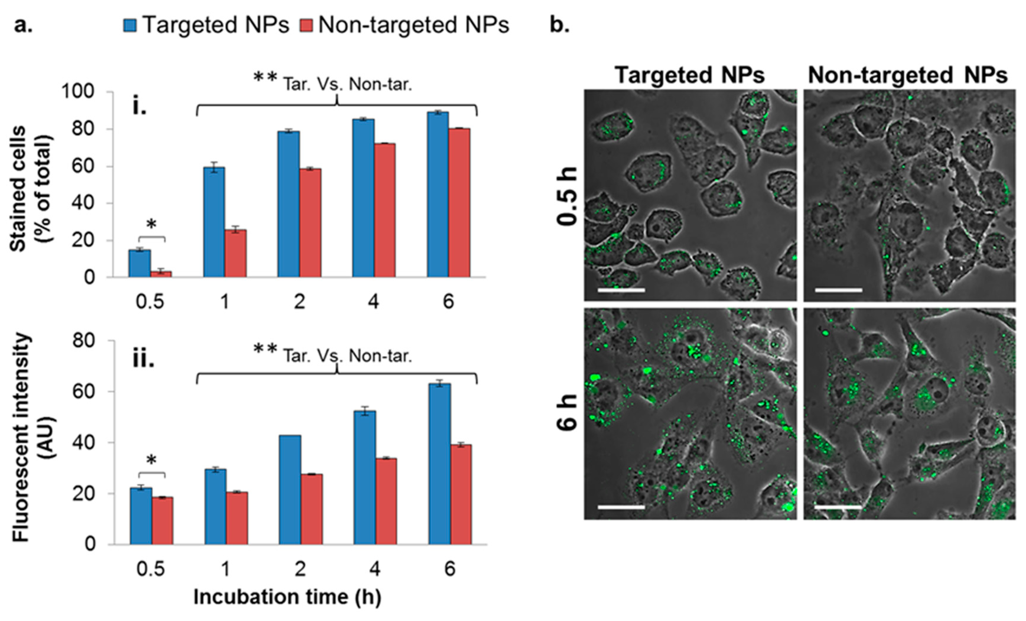 Cancers 11 00442 g003