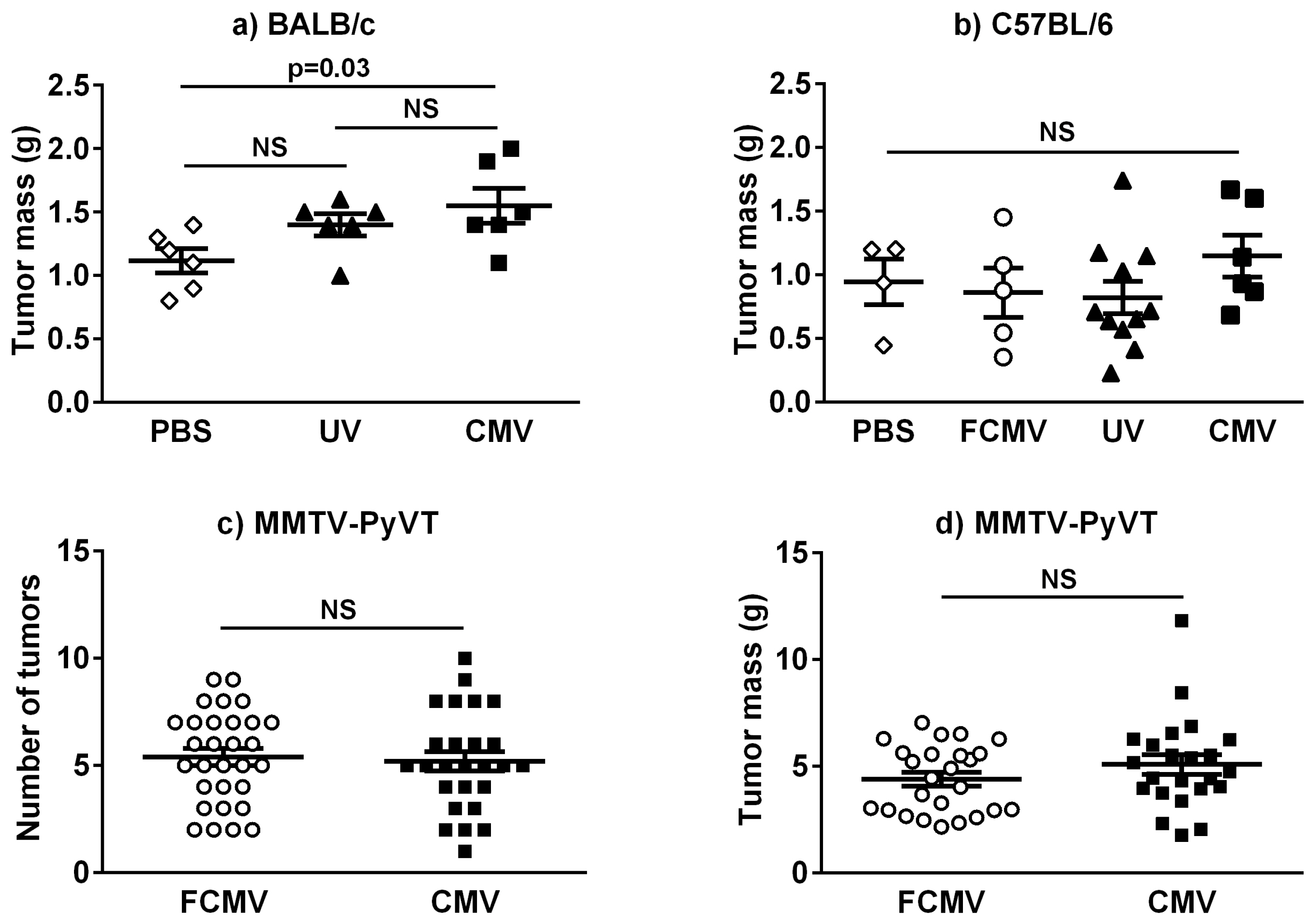 Cancers 11 00447 g001 Cancers 11 00447 g001