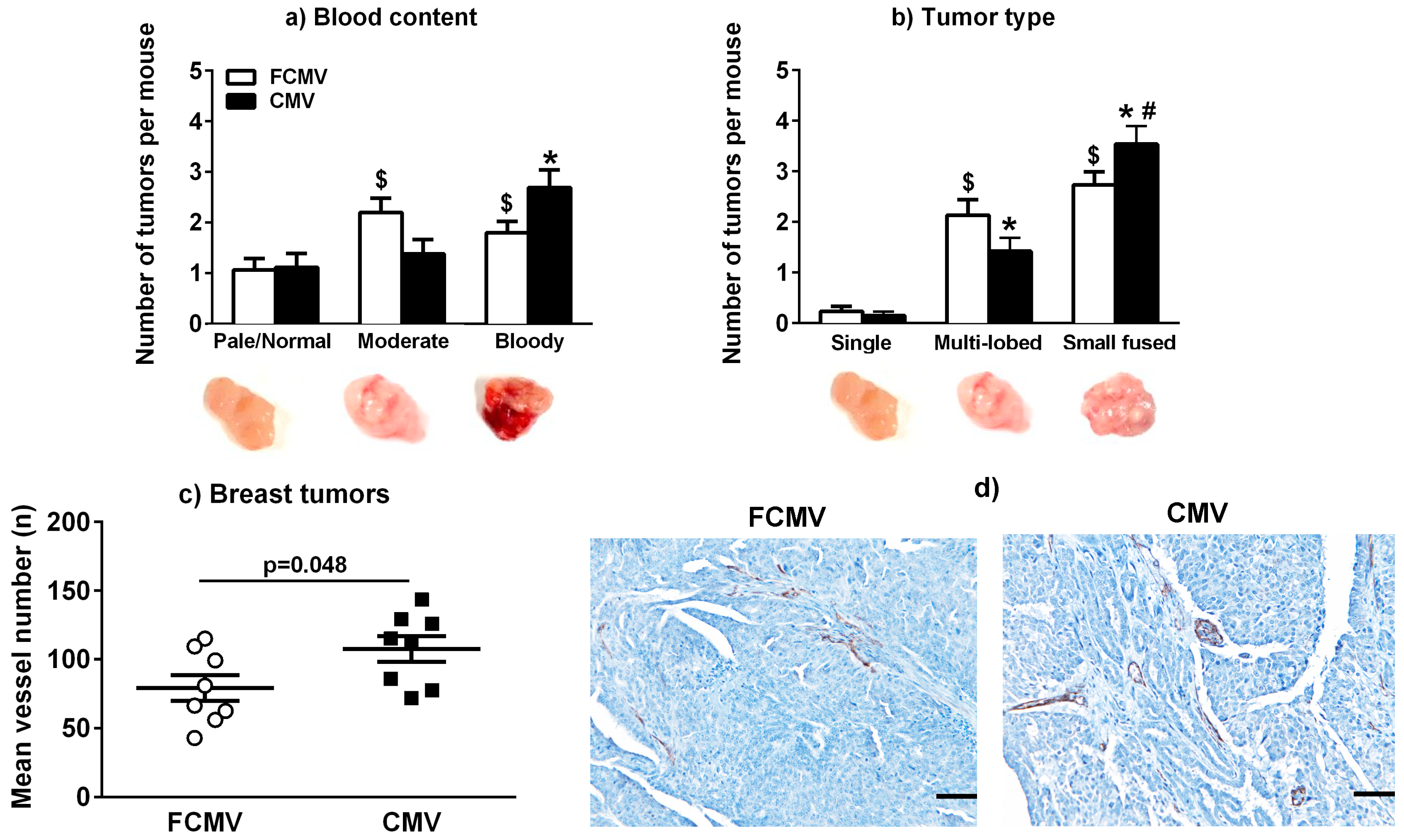 Cancers 11 00447 g002 Cancers 11 00447 g002