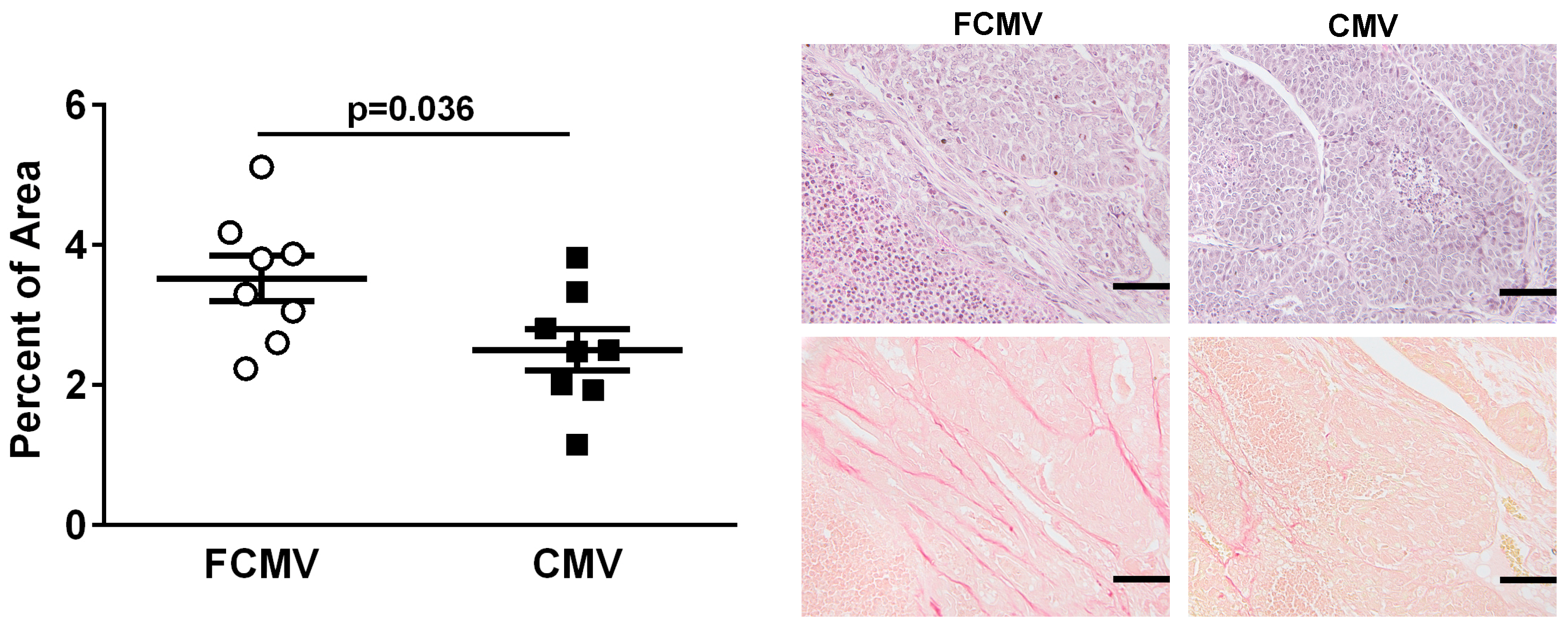 Cancers 11 00447 g003 Cancers 11 00447 g003
