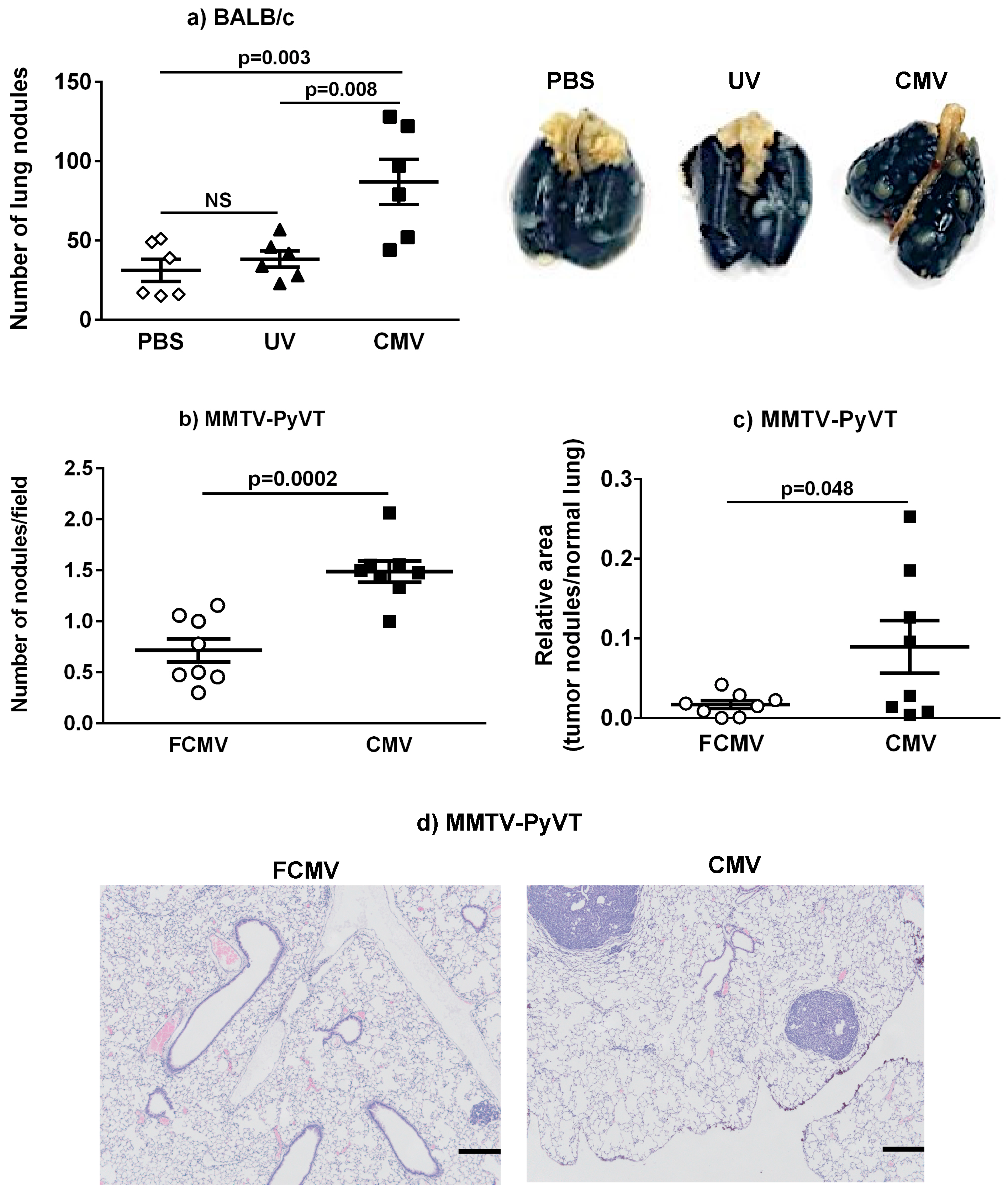 Cancers 11 00447 g004 Cancers 11 00447 g004