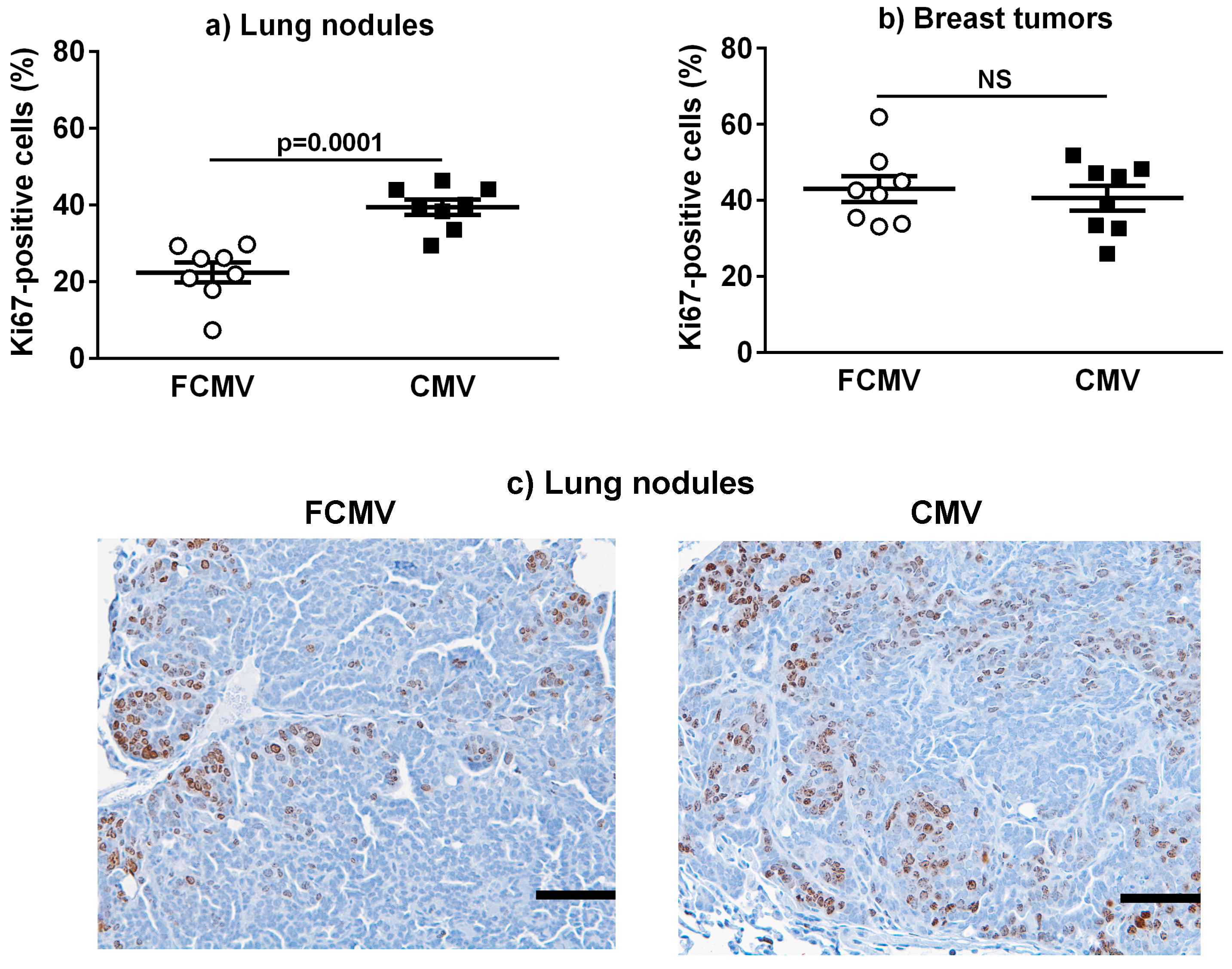 Cancers 11 00447 g005 Cancers 11 00447 g005