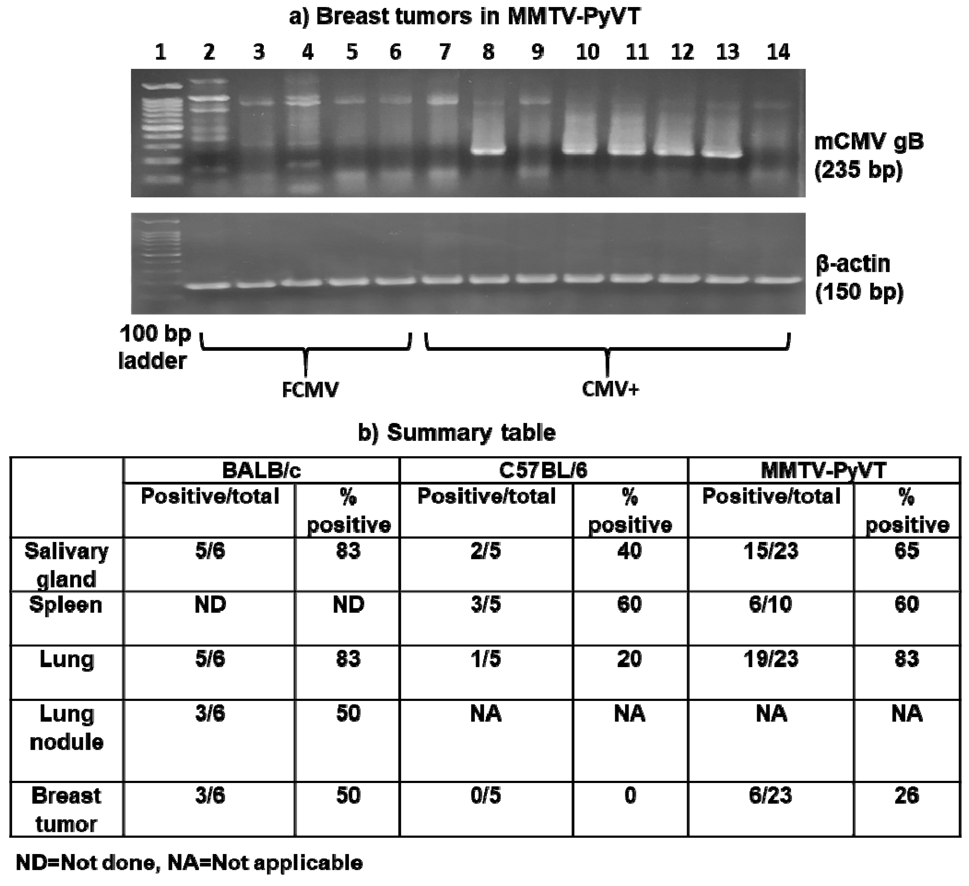 Cancers 11 00447 g006 Cancers 11 00447 g006