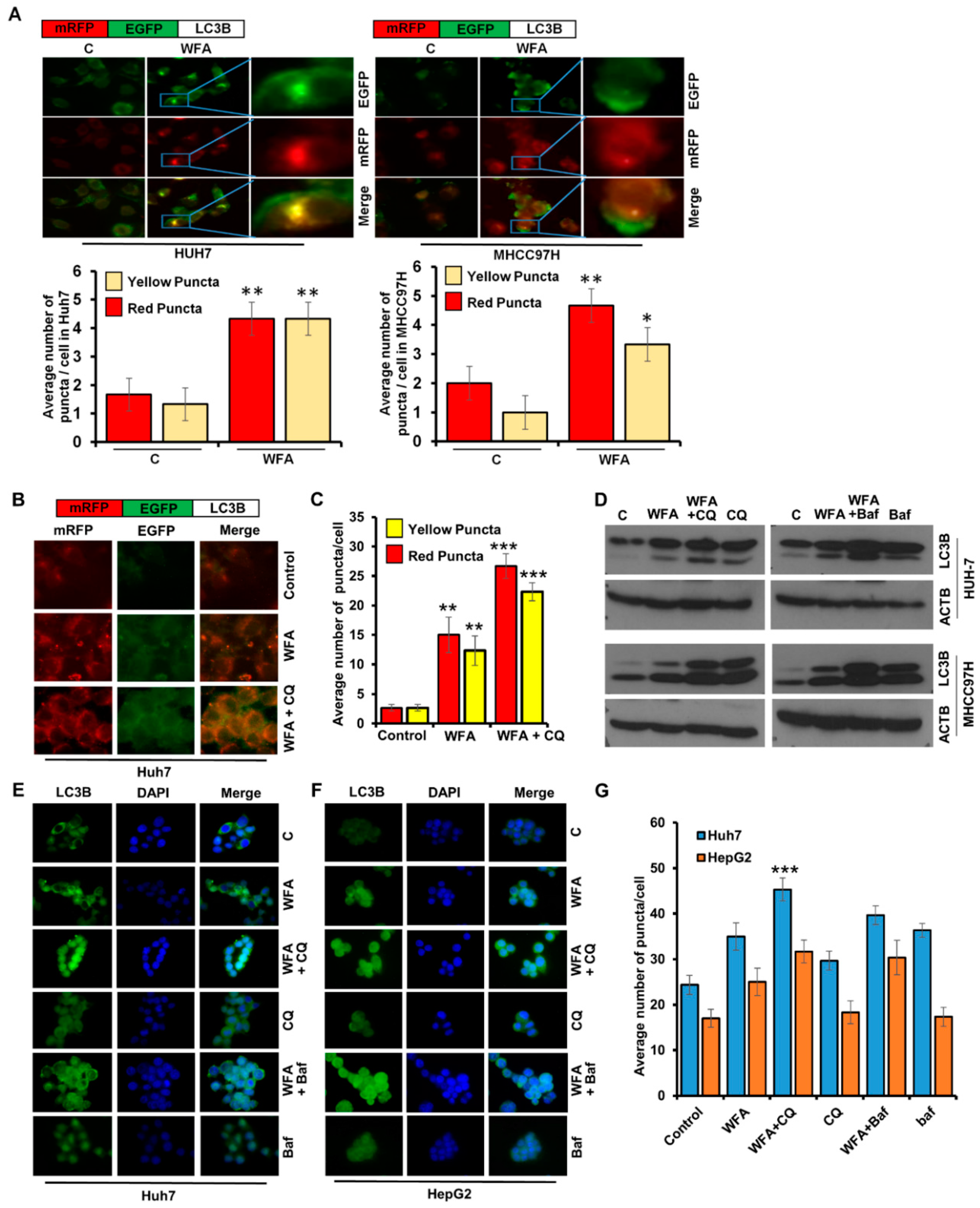 Cancers 11 00453 g003 Cancers 11 00453 g003