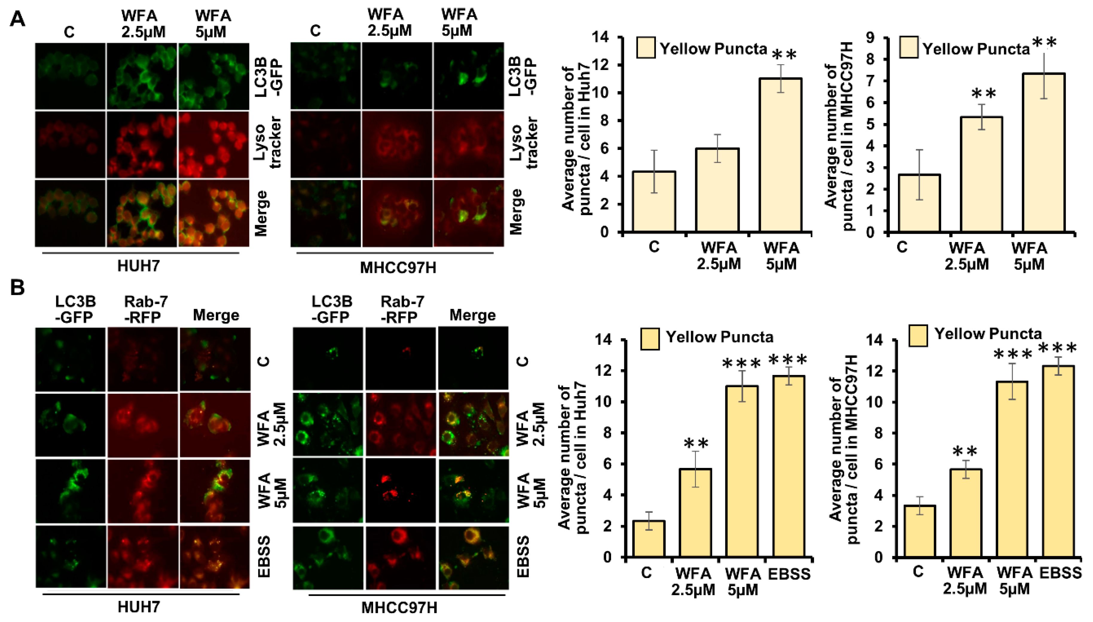 Cancers 11 00453 g004 Cancers 11 00453 g004