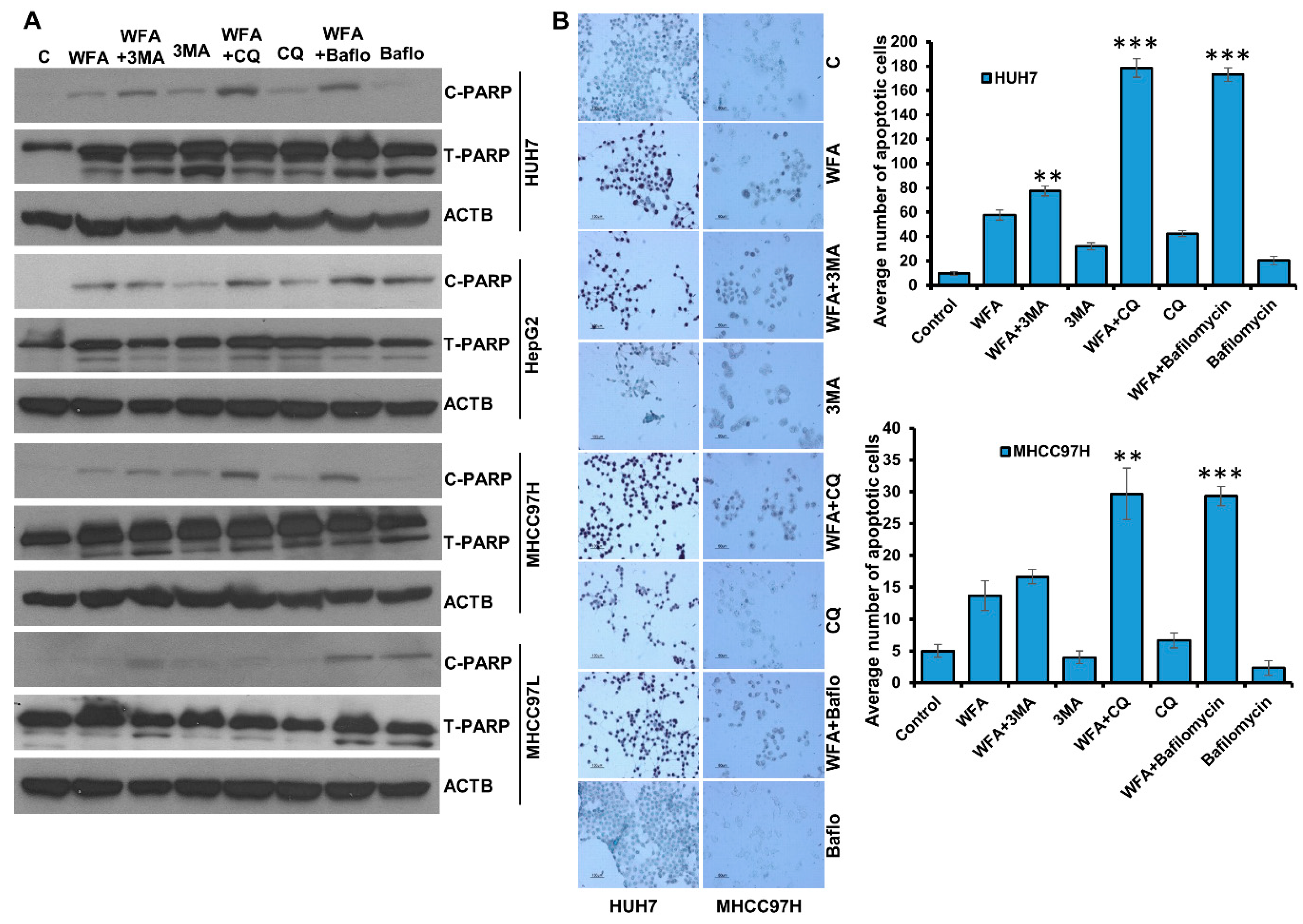Cancers 11 00453 g008 Cancers 11 00453 g008