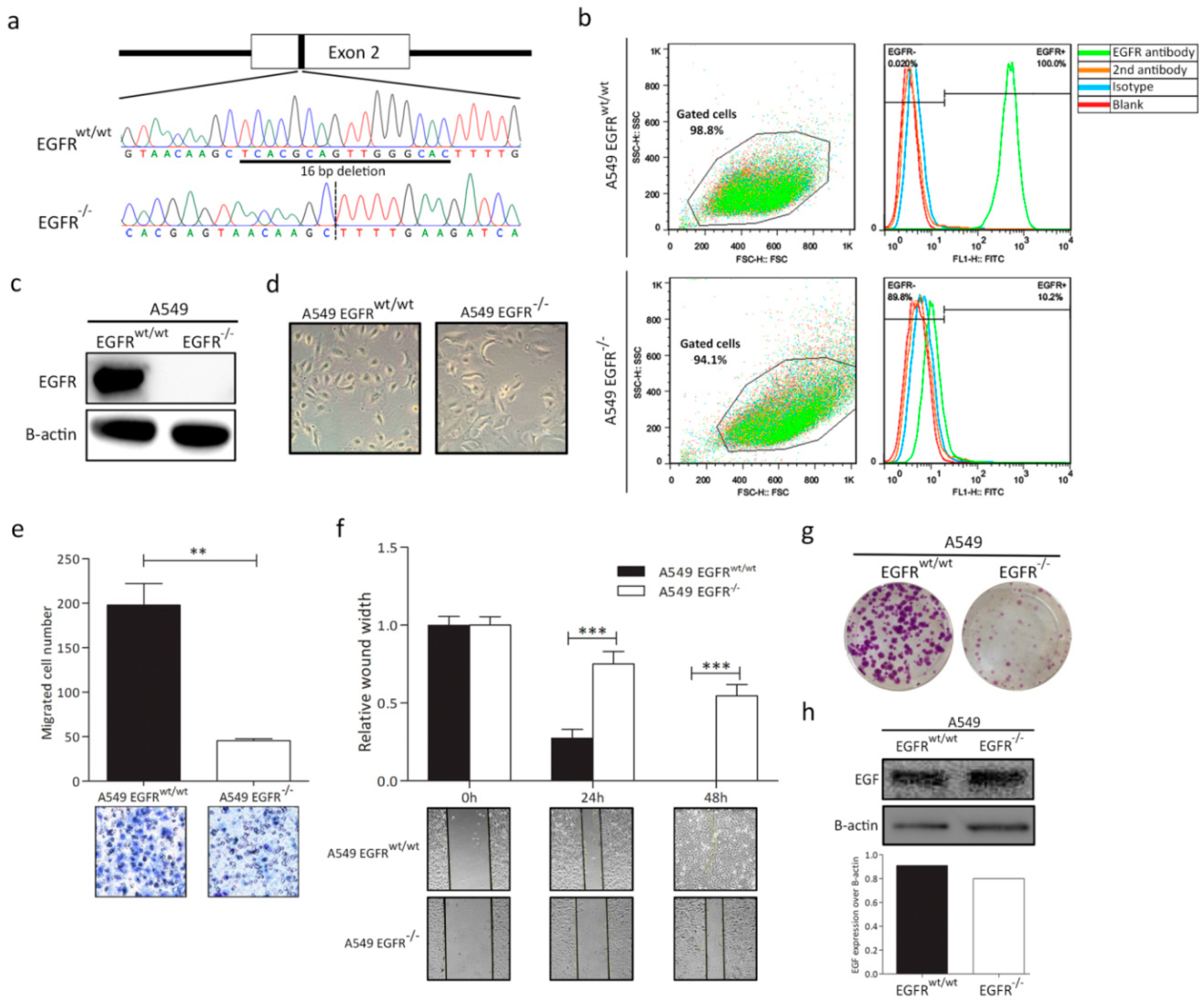 Cancers 11 00455 g001