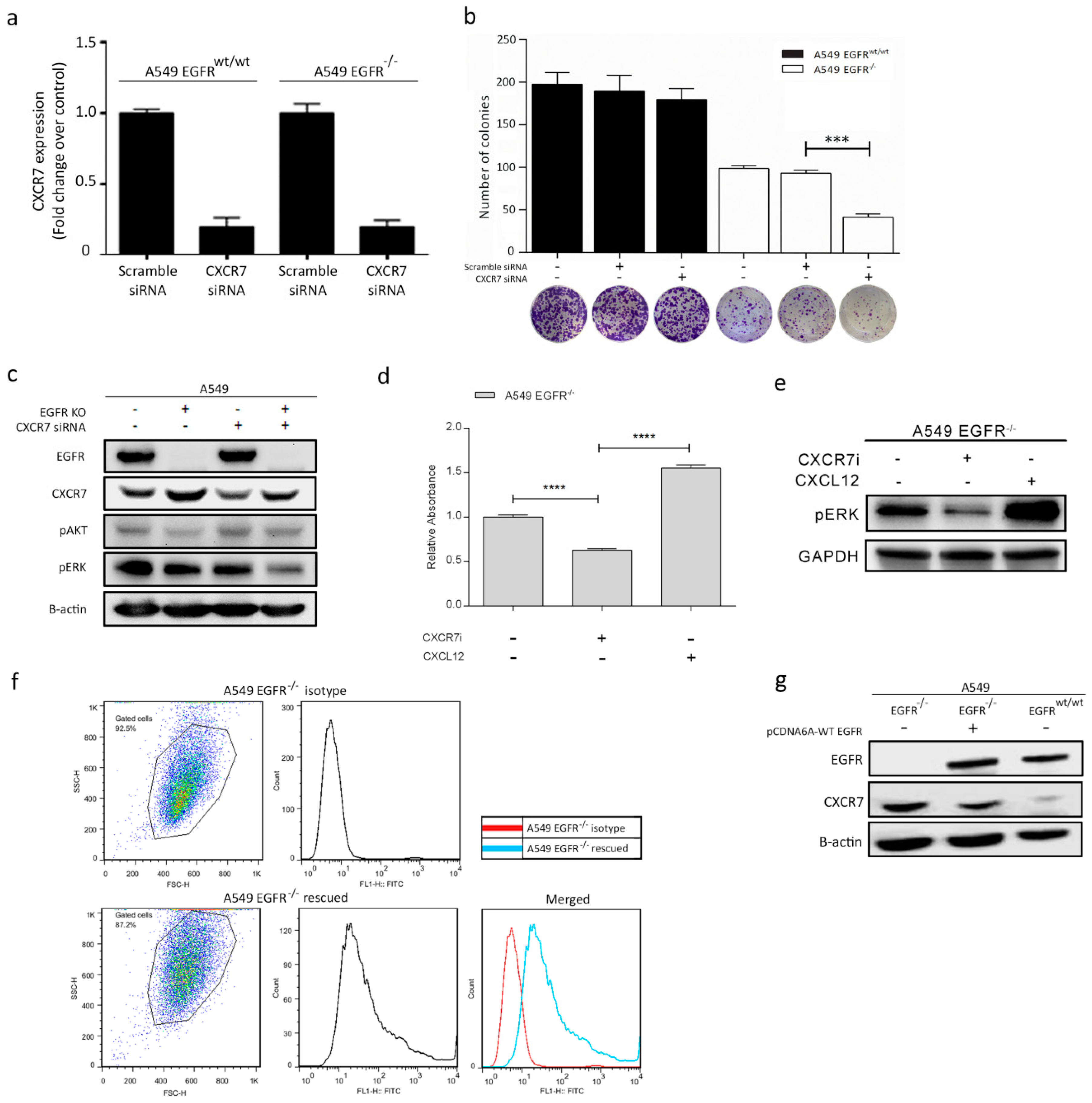 Cancers 11 00455 g005