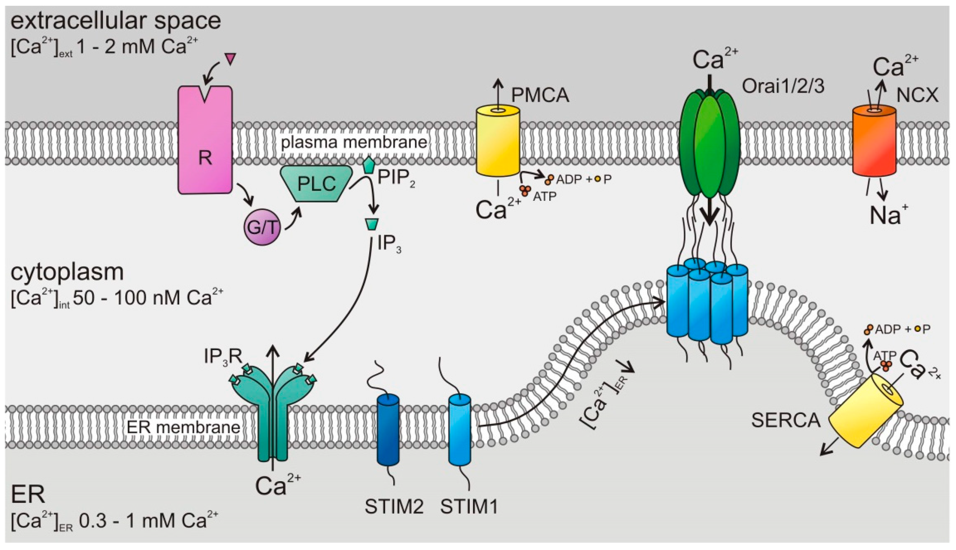 Cancers 11 00457 g002 Cancers 11 00457 g002