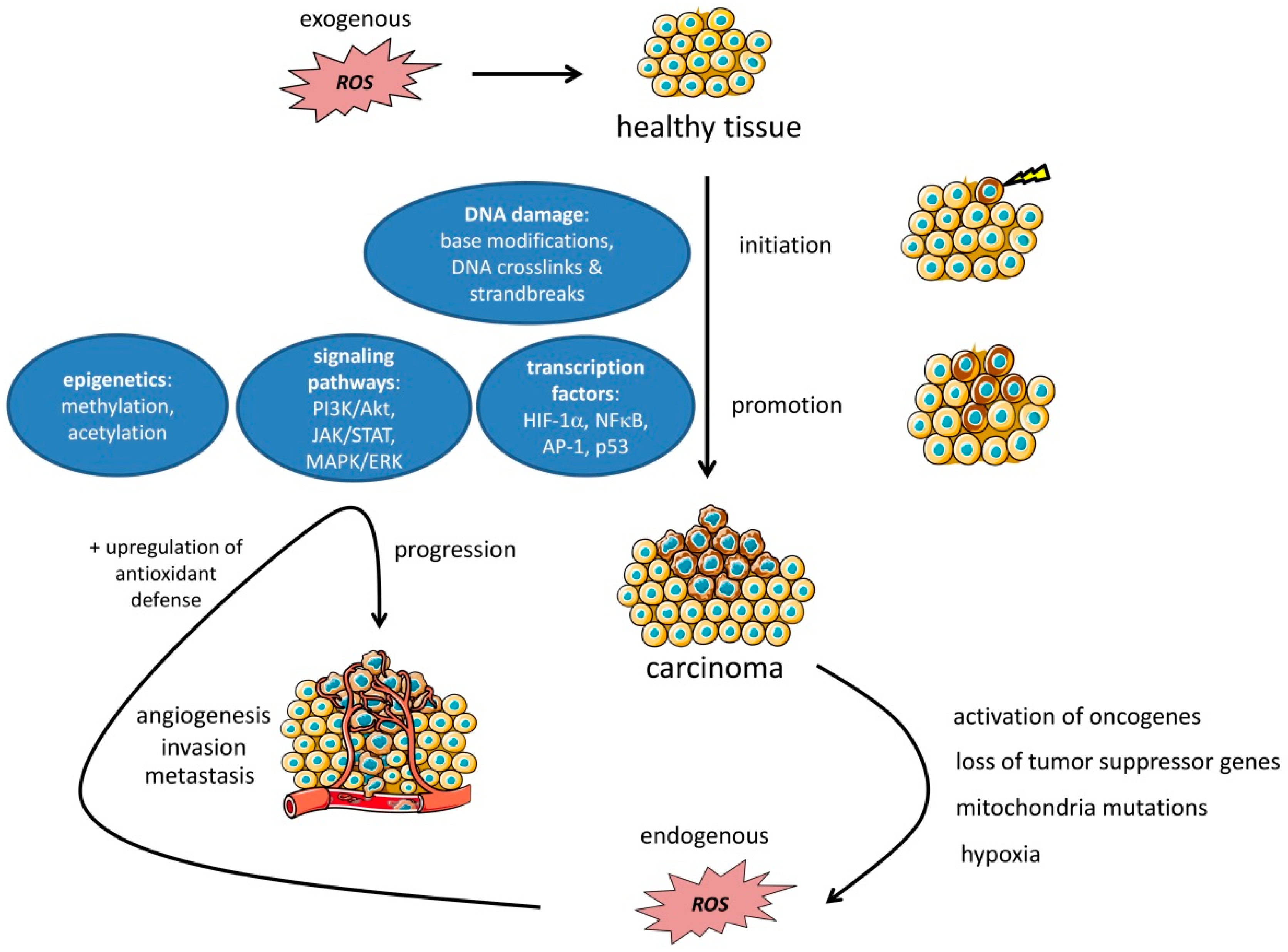 Cancers 11 00457 g004 Cancers 11 00457 g004