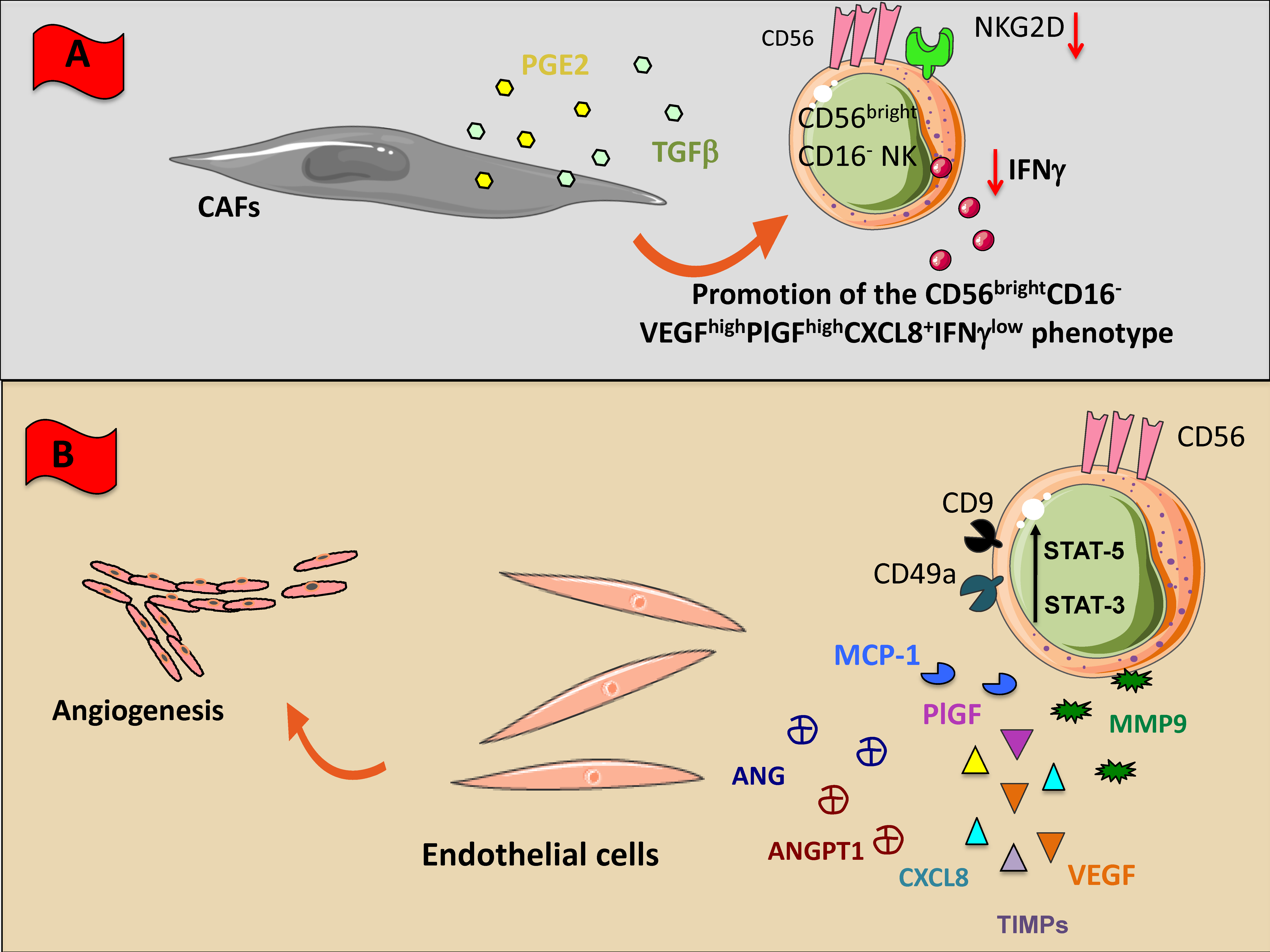 Cancers 11 00461 g003