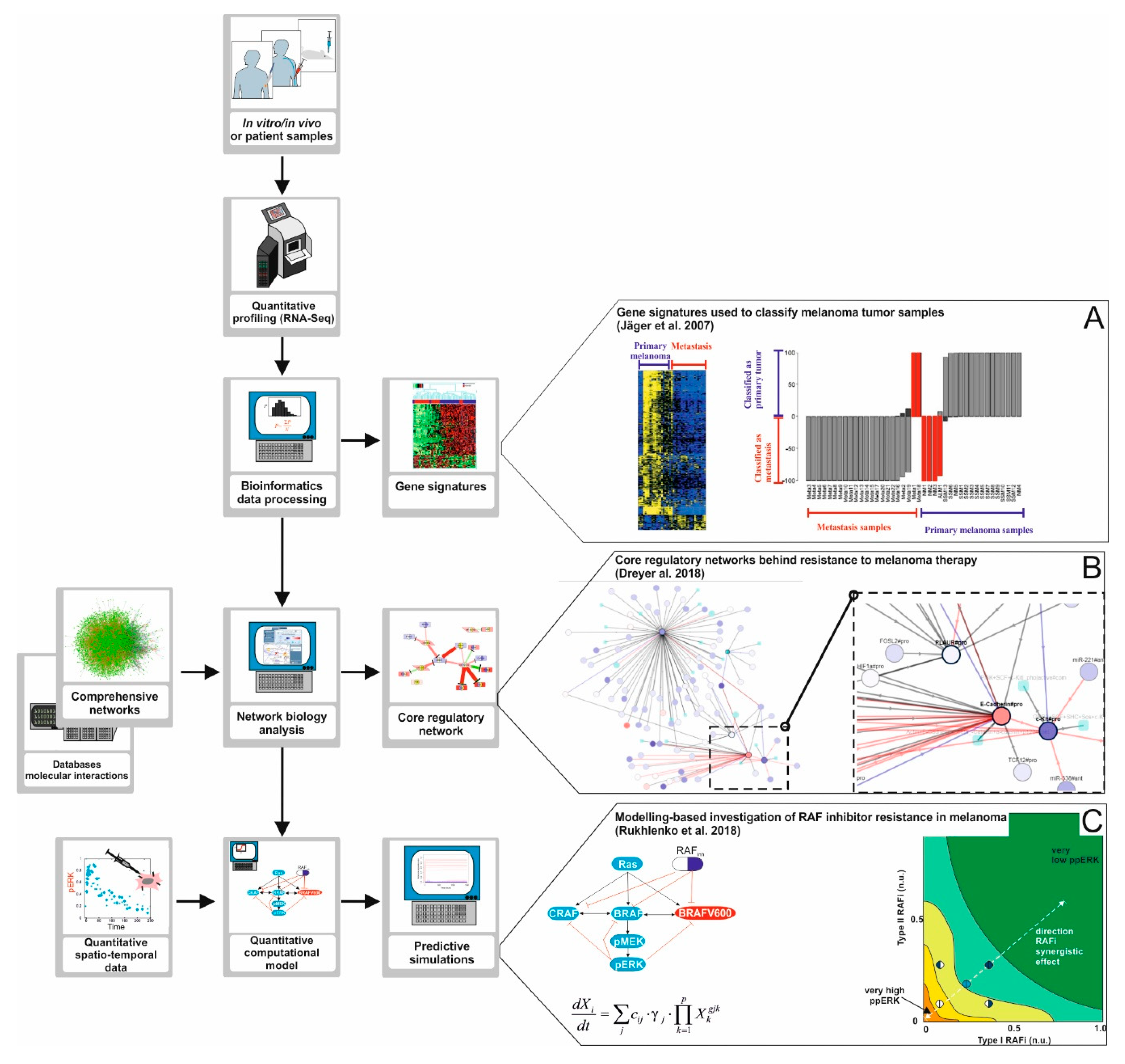 Cancers 11 00465 g003 Cancers 11 00465 g003