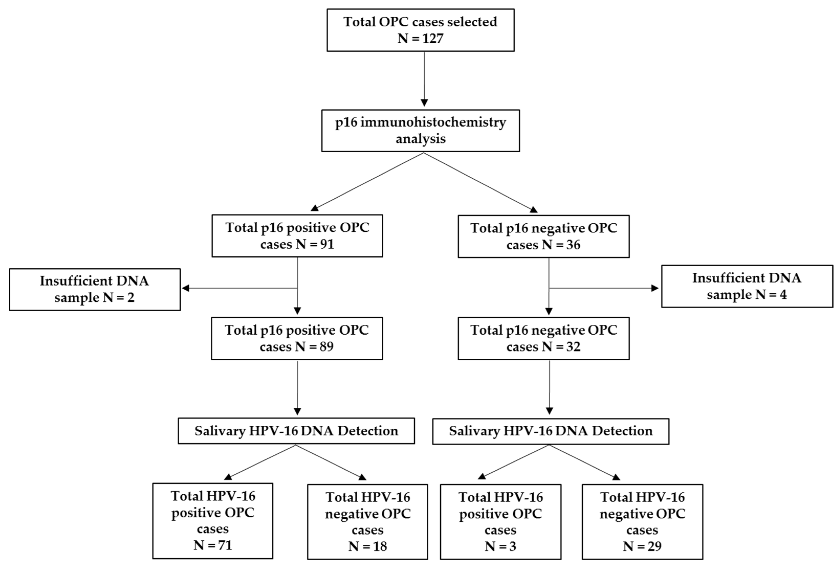 Cancers 11 00473 g003