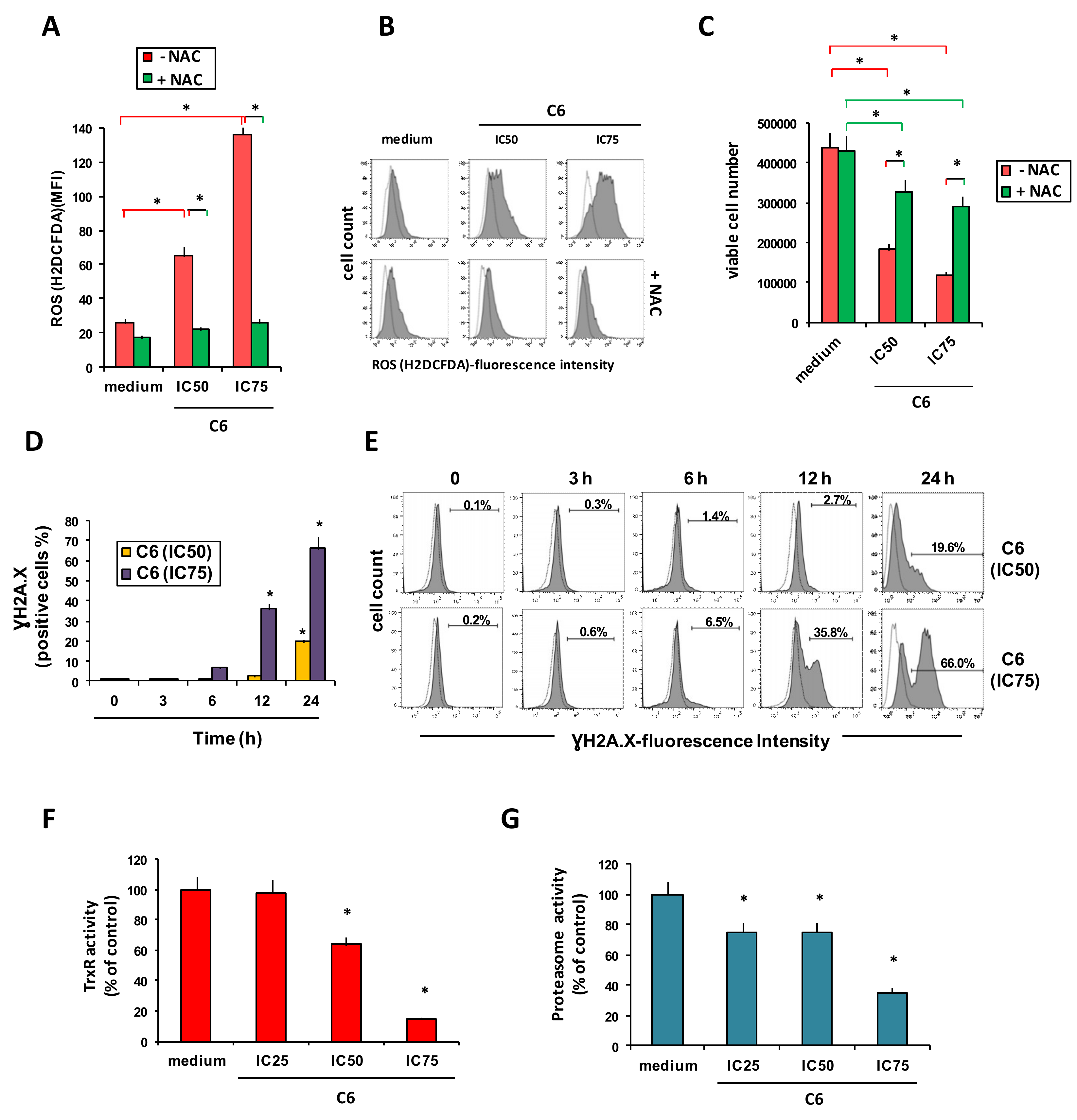 Cancers 11 00474 g003