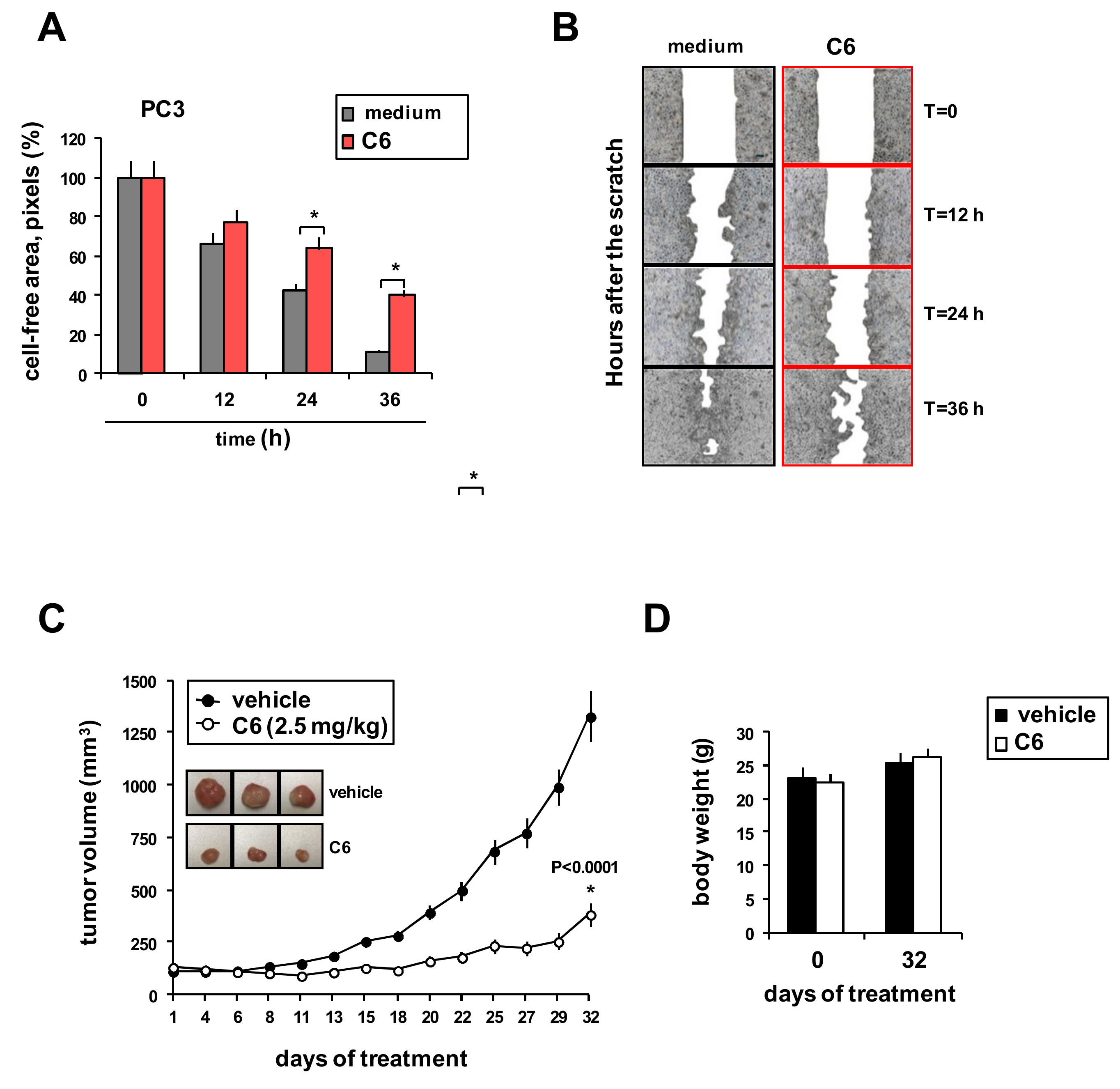 Cancers 11 00474 g004