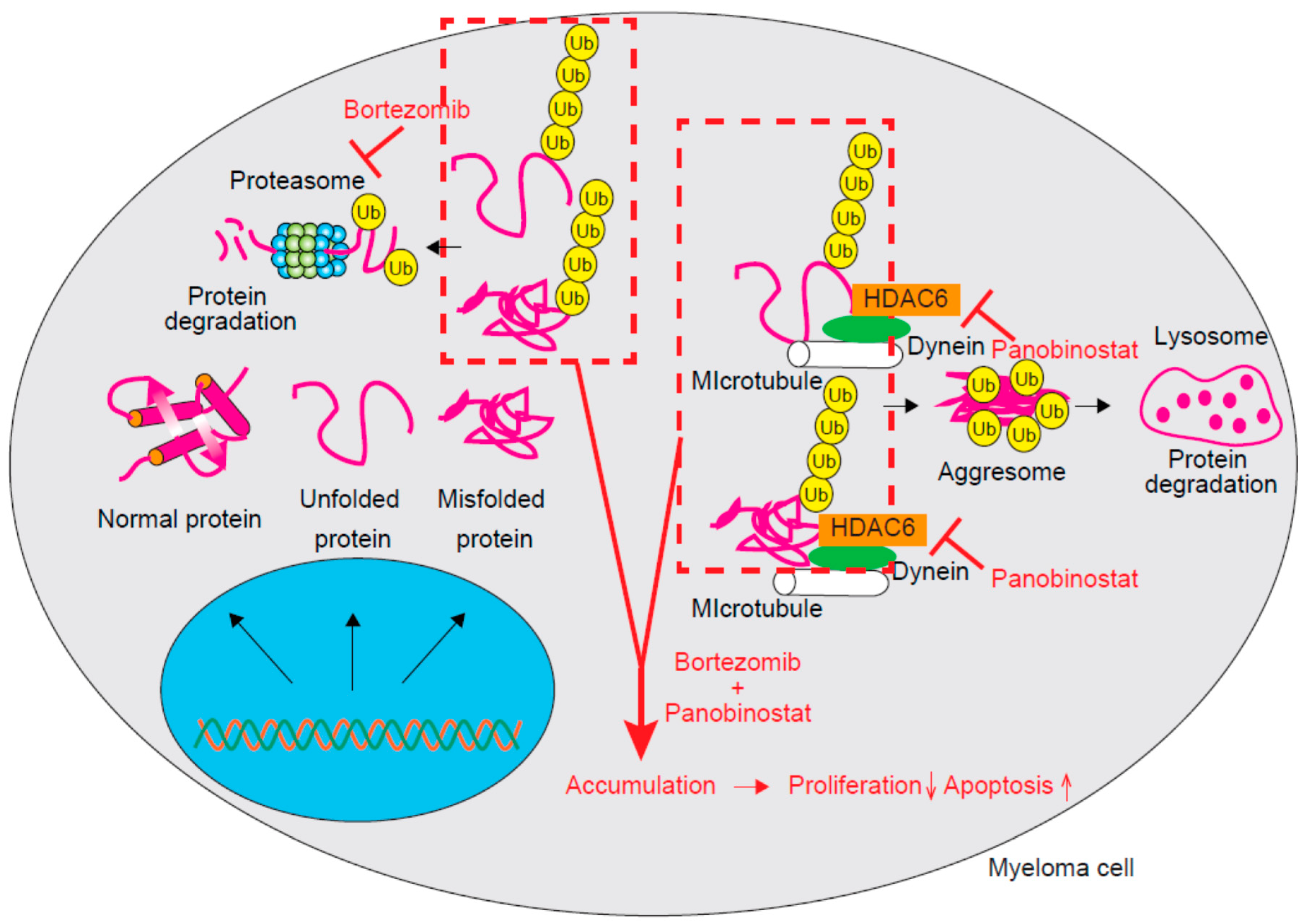 Cancers 11 00475 g001