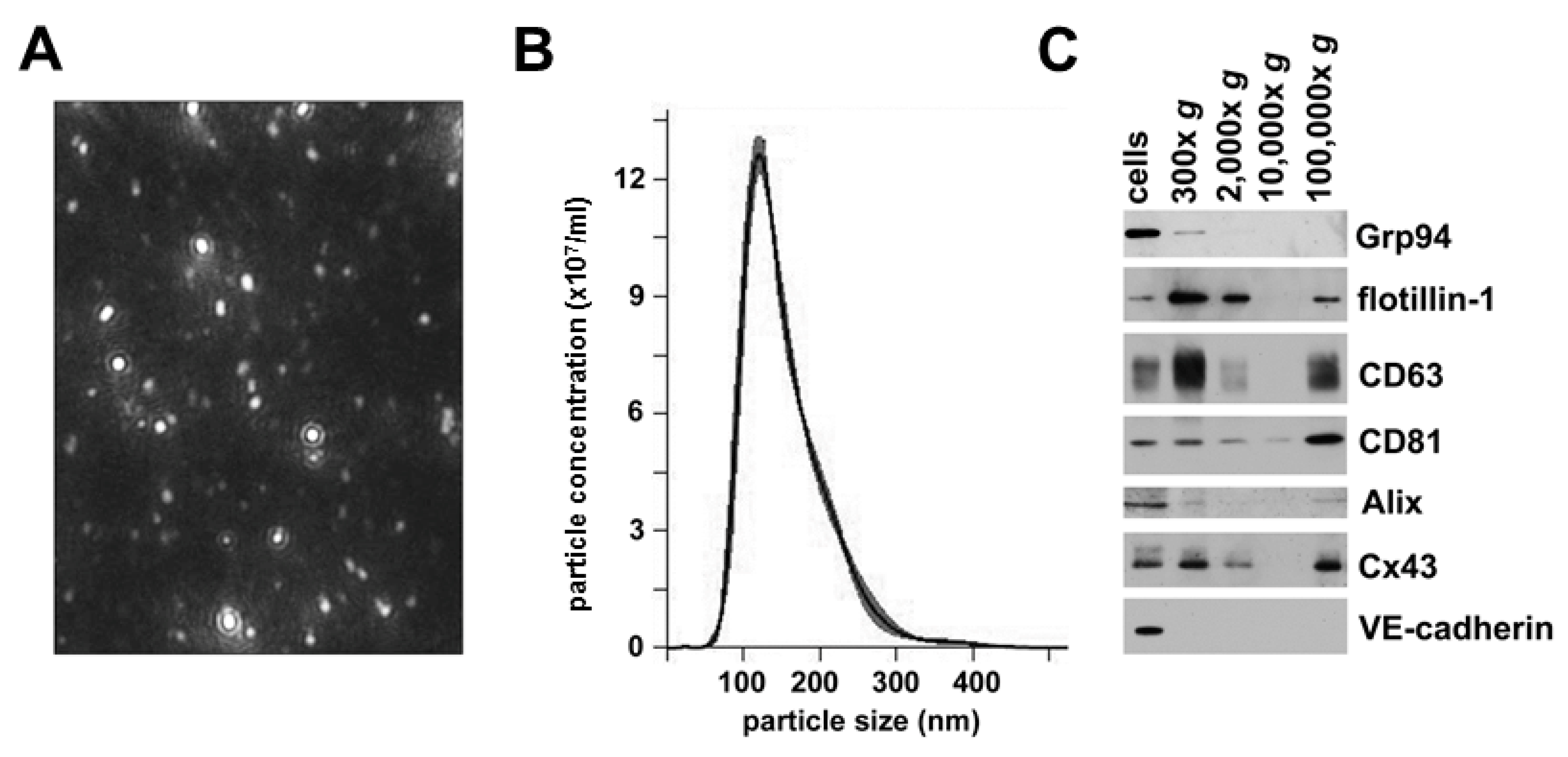 Cancers 11 00476 g002