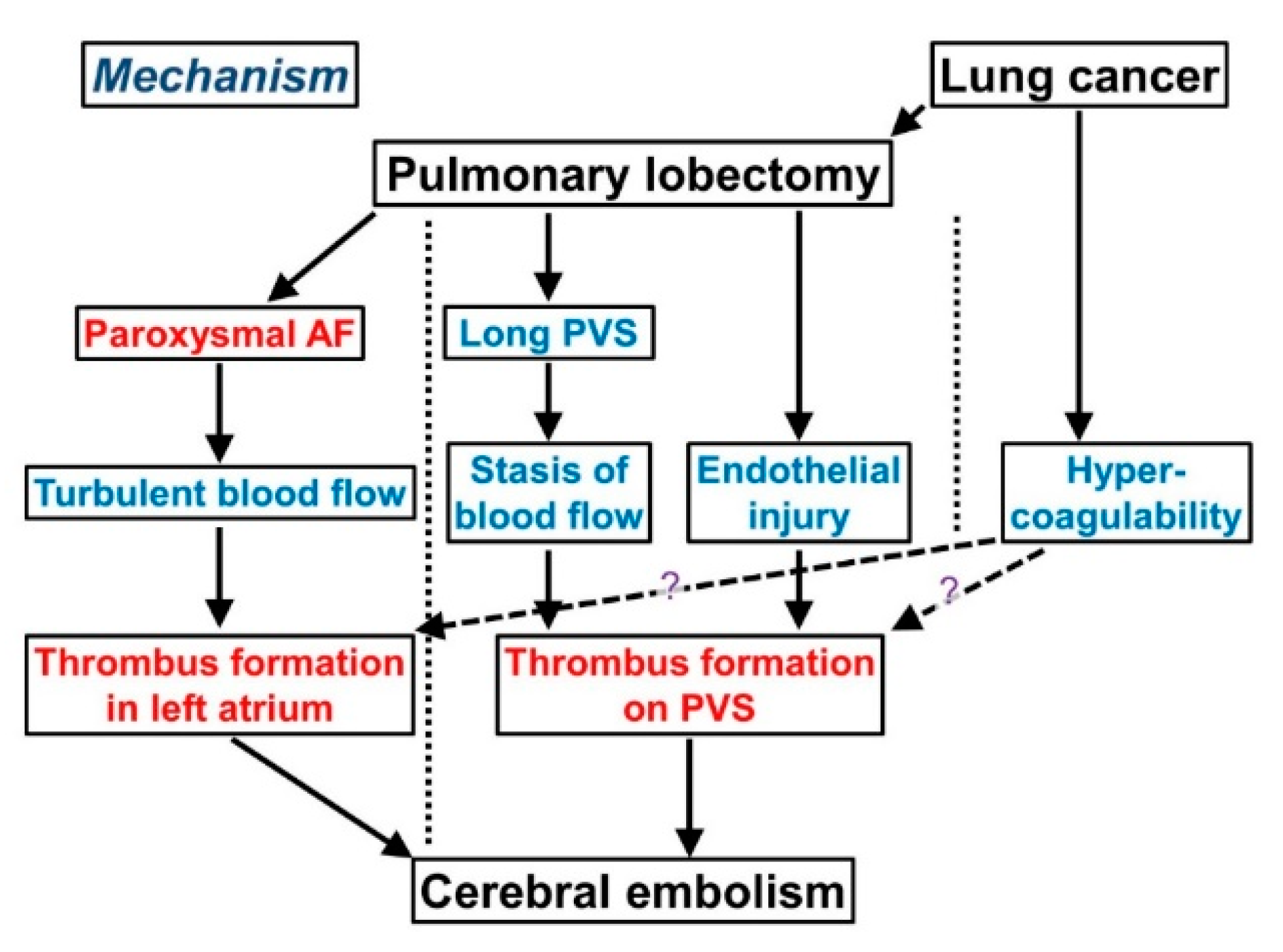 Cancers 11 00488 g003