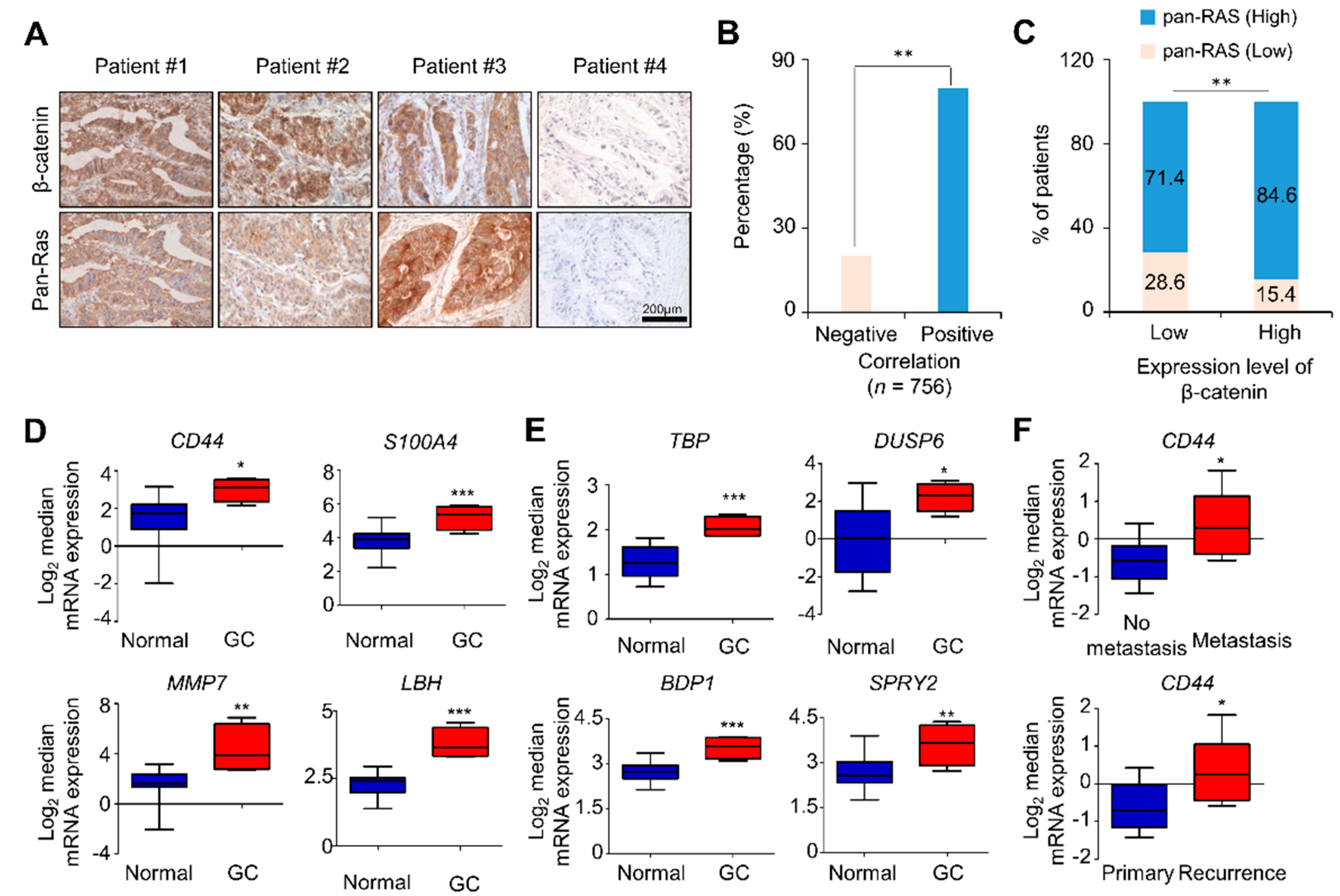 Cancers 11 00496 g001