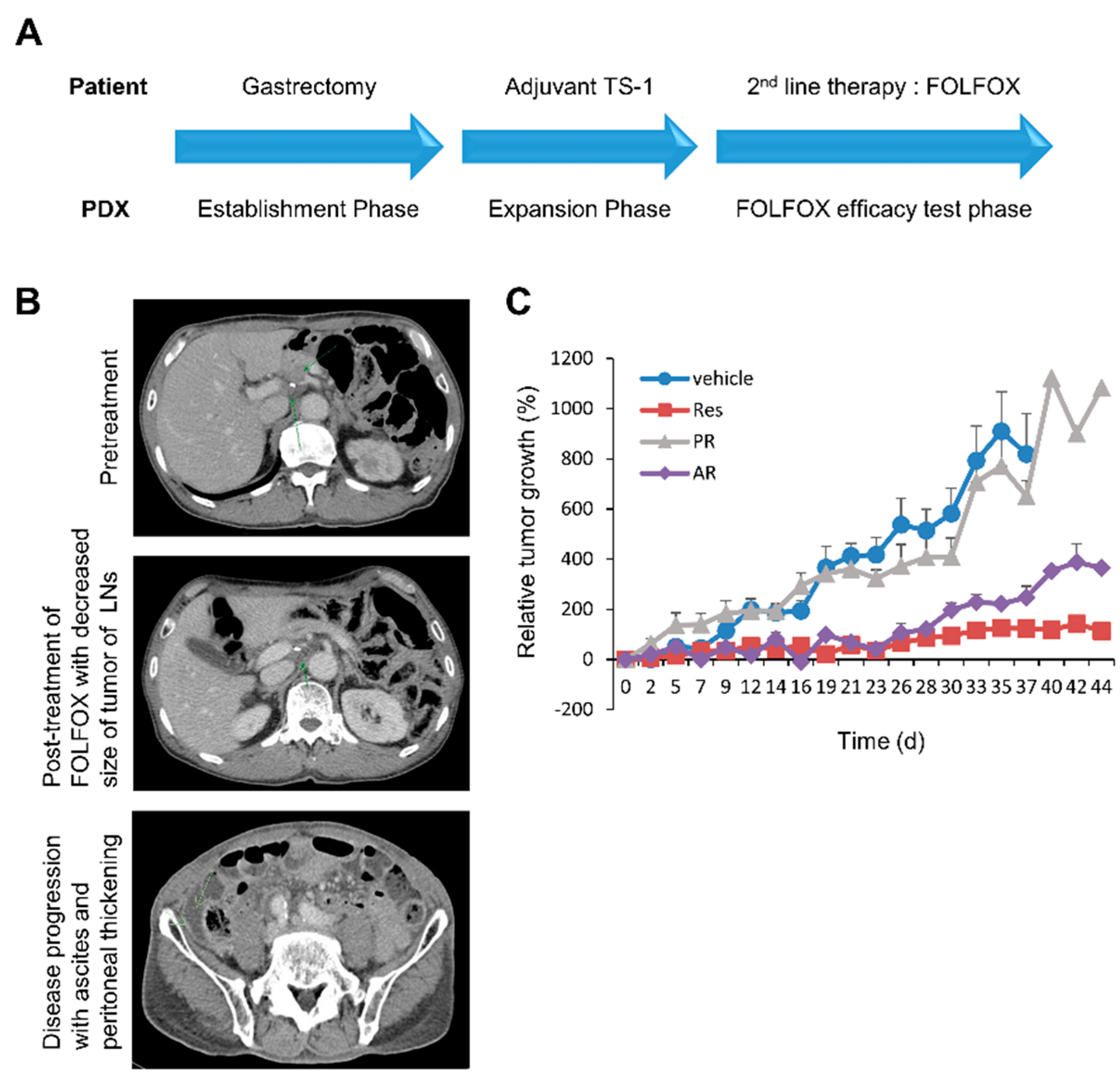 Cancers 11 00496 g002