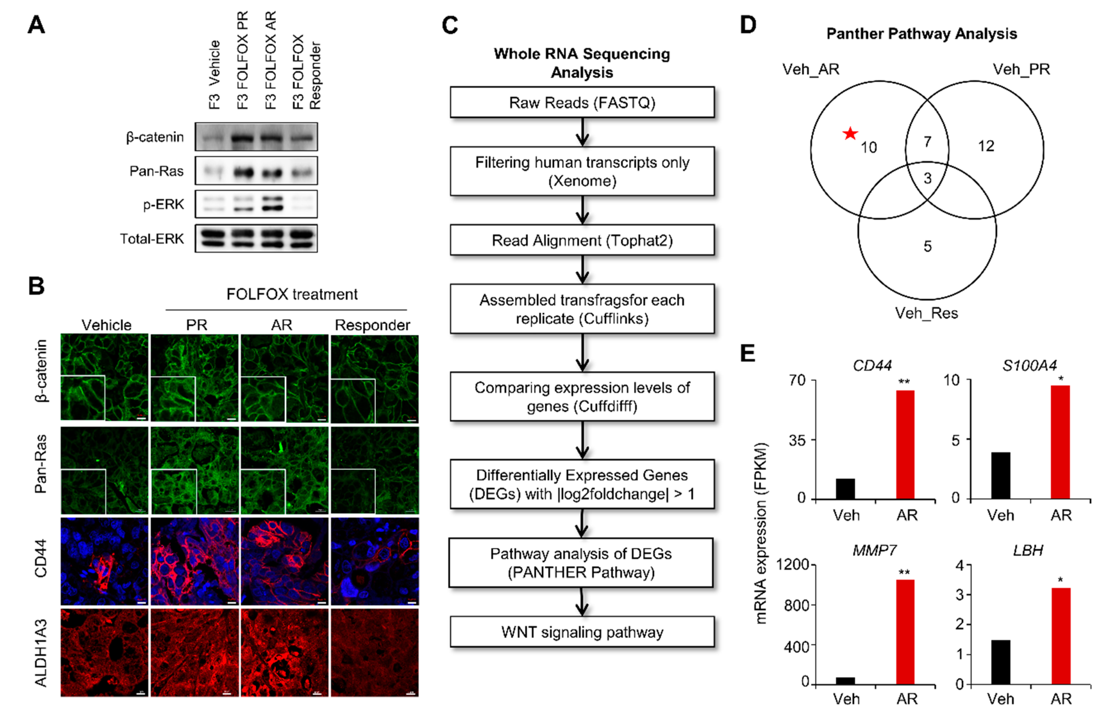 Cancers 11 00496 g003