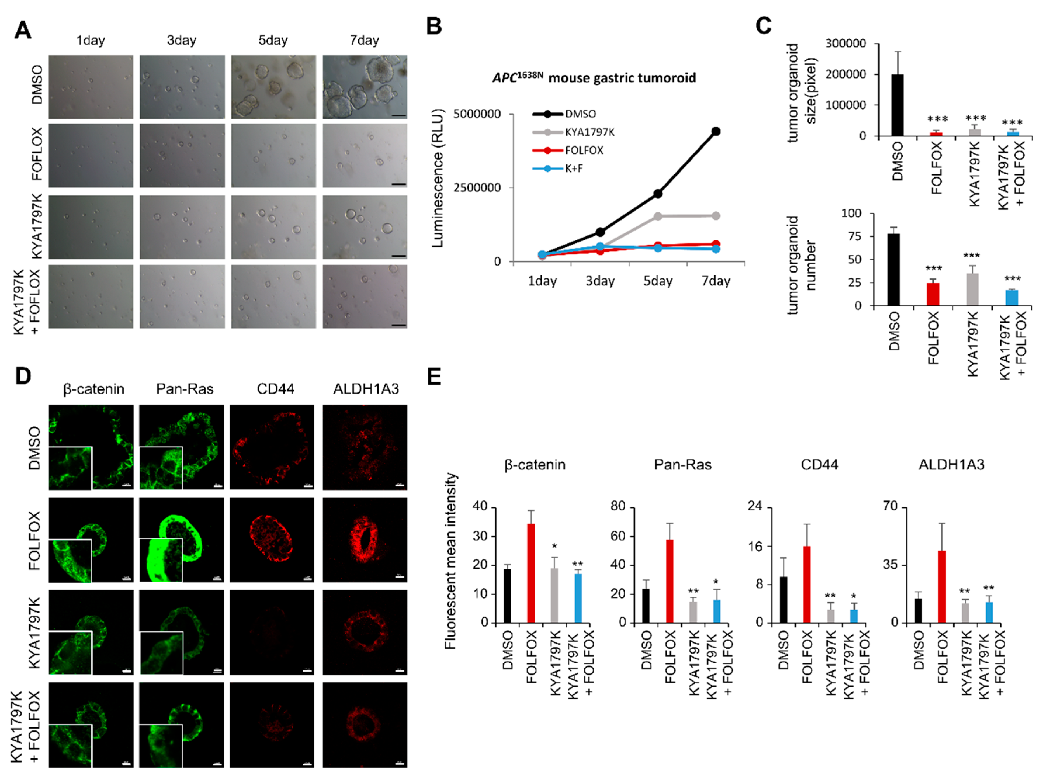 Cancers 11 00496 g004