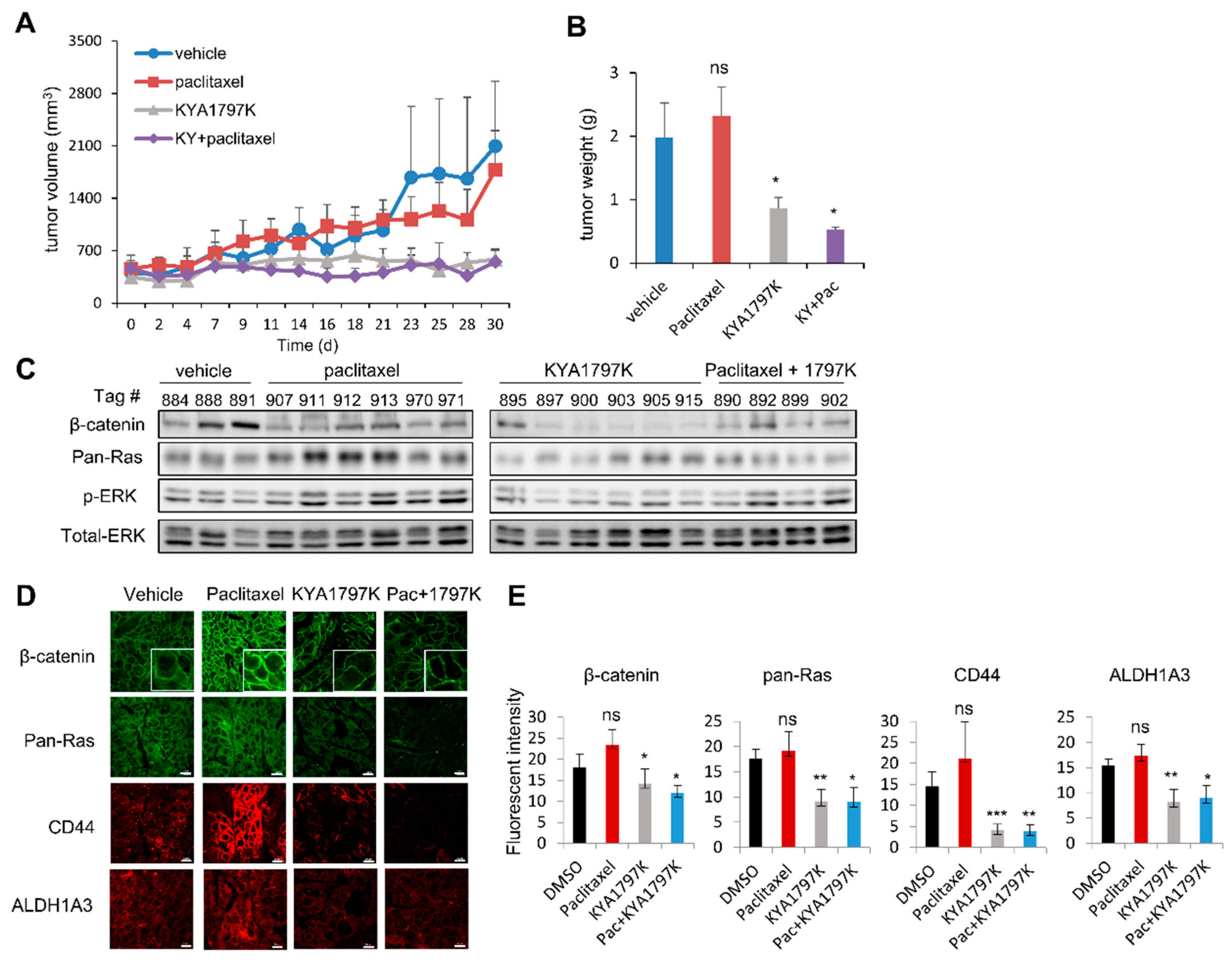 Cancers 11 00496 g005