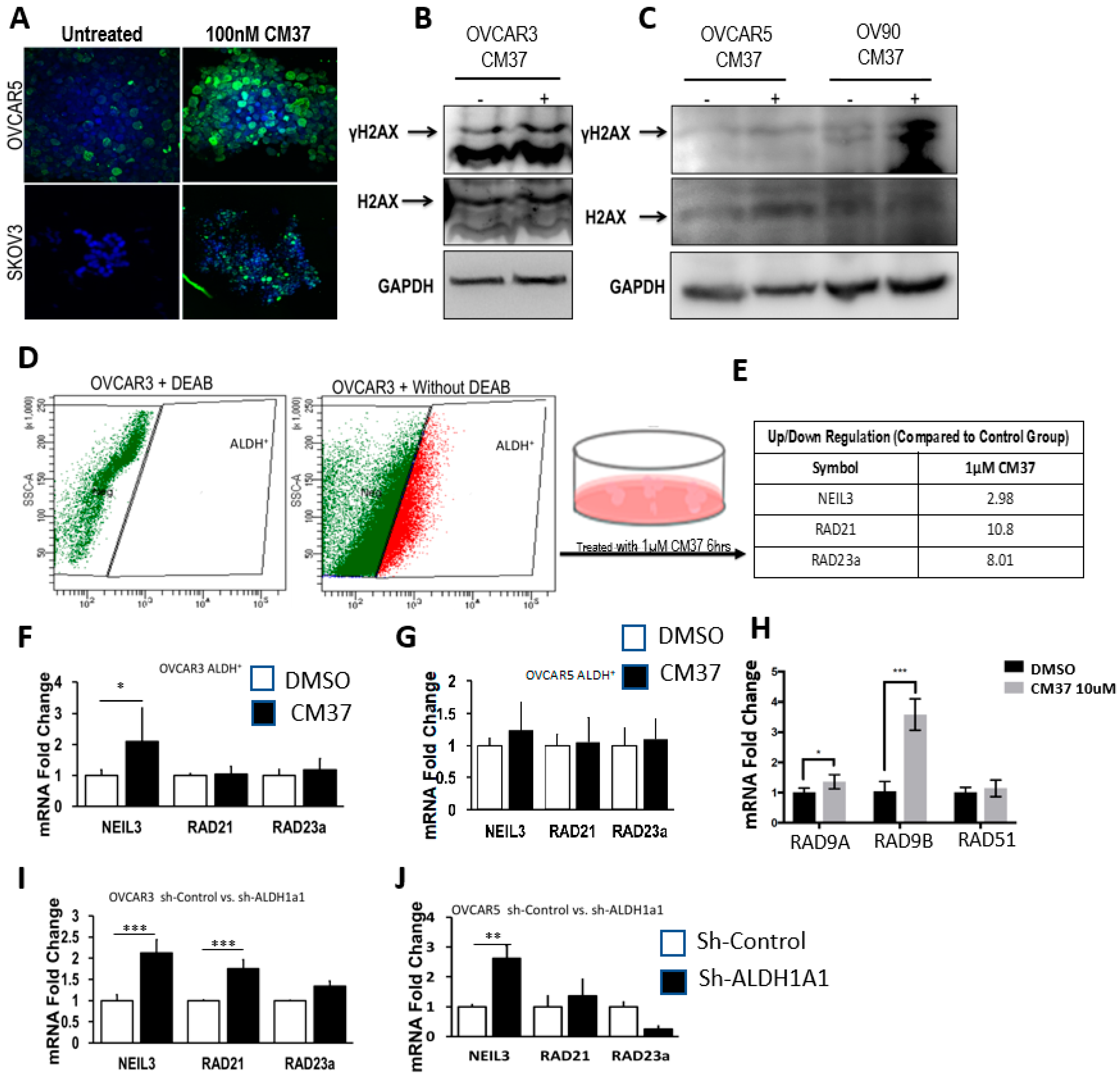 Cancers 11 00502 g005