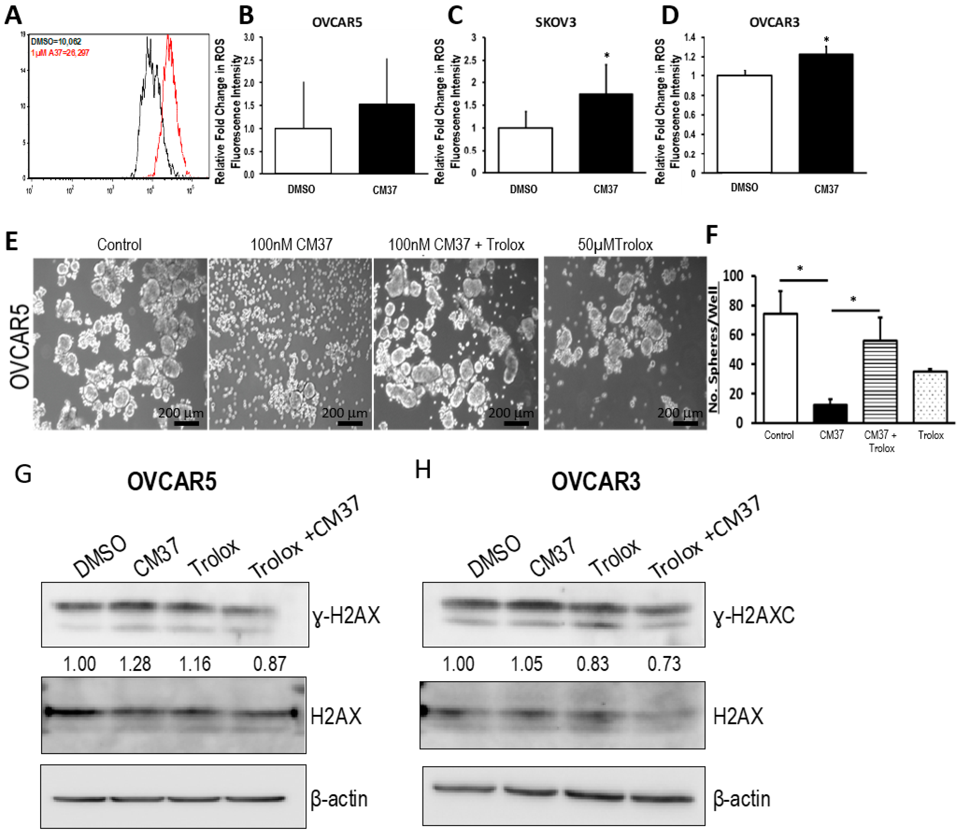 Cancers 11 00502 g006