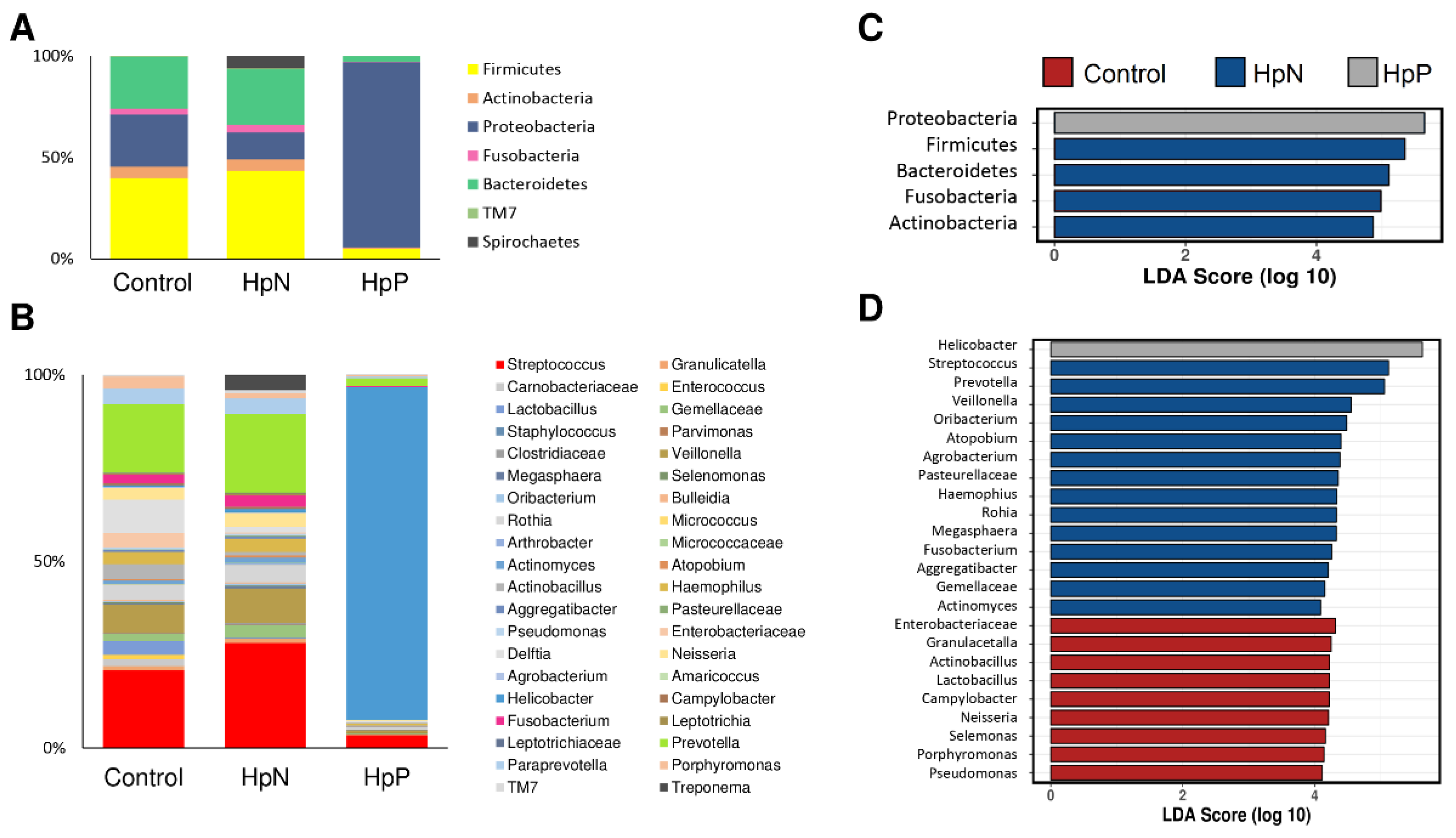 Cancers 11 00504 g002