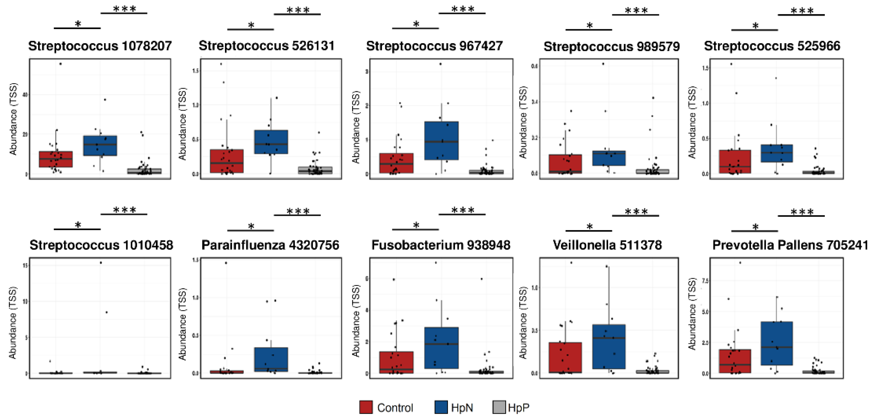 Cancers 11 00504 g003