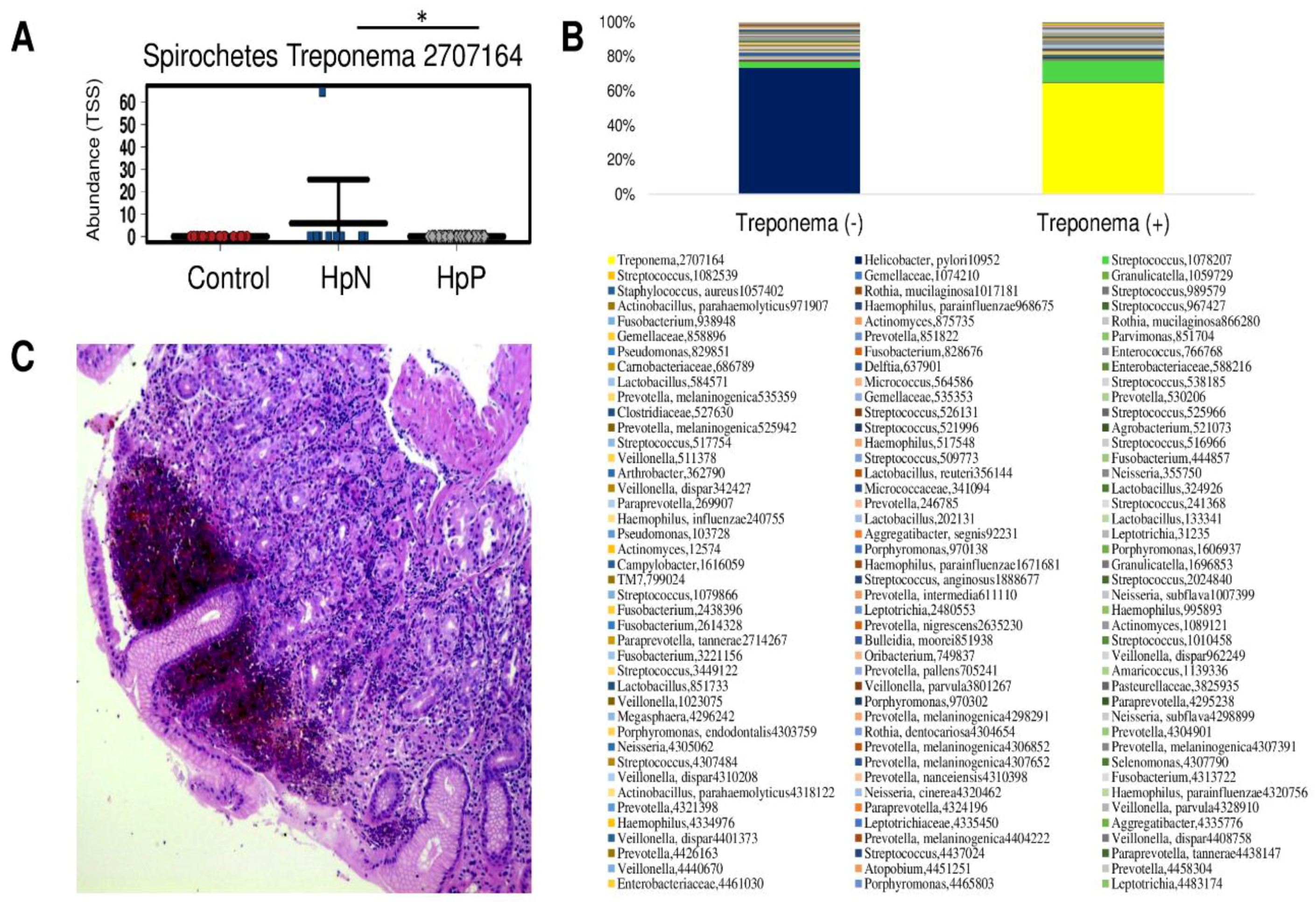 Cancers 11 00504 g004