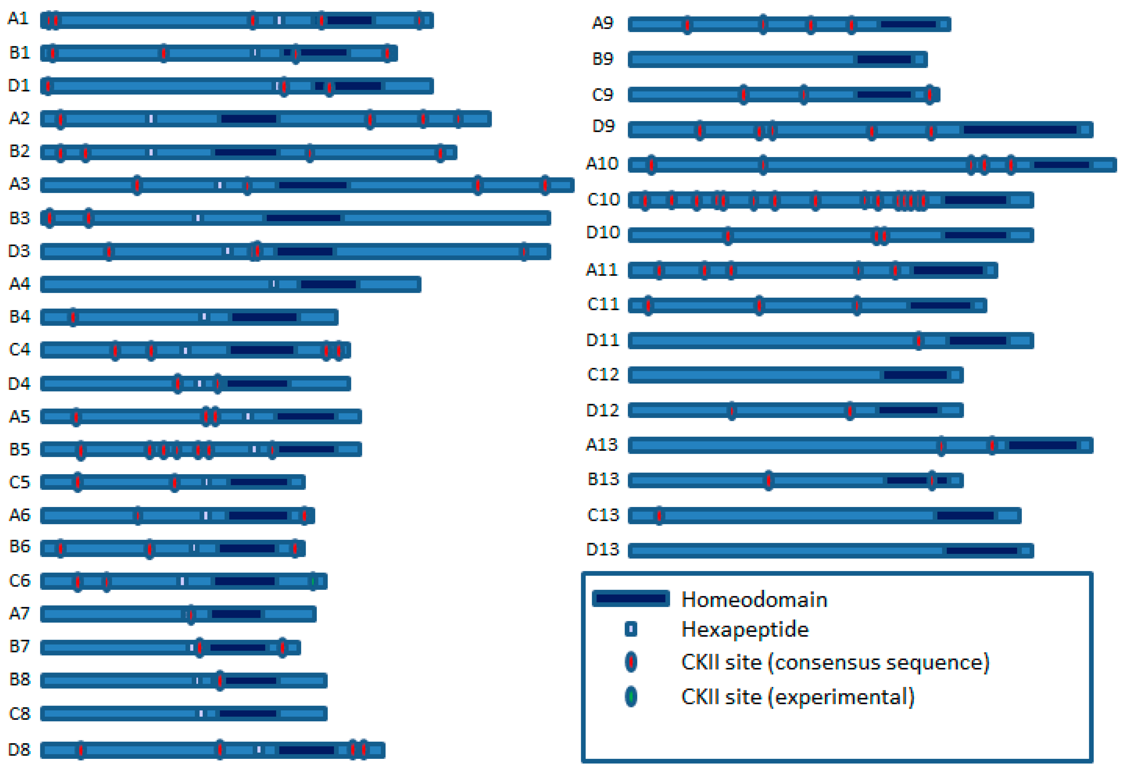 Cancers 11 00508 g003