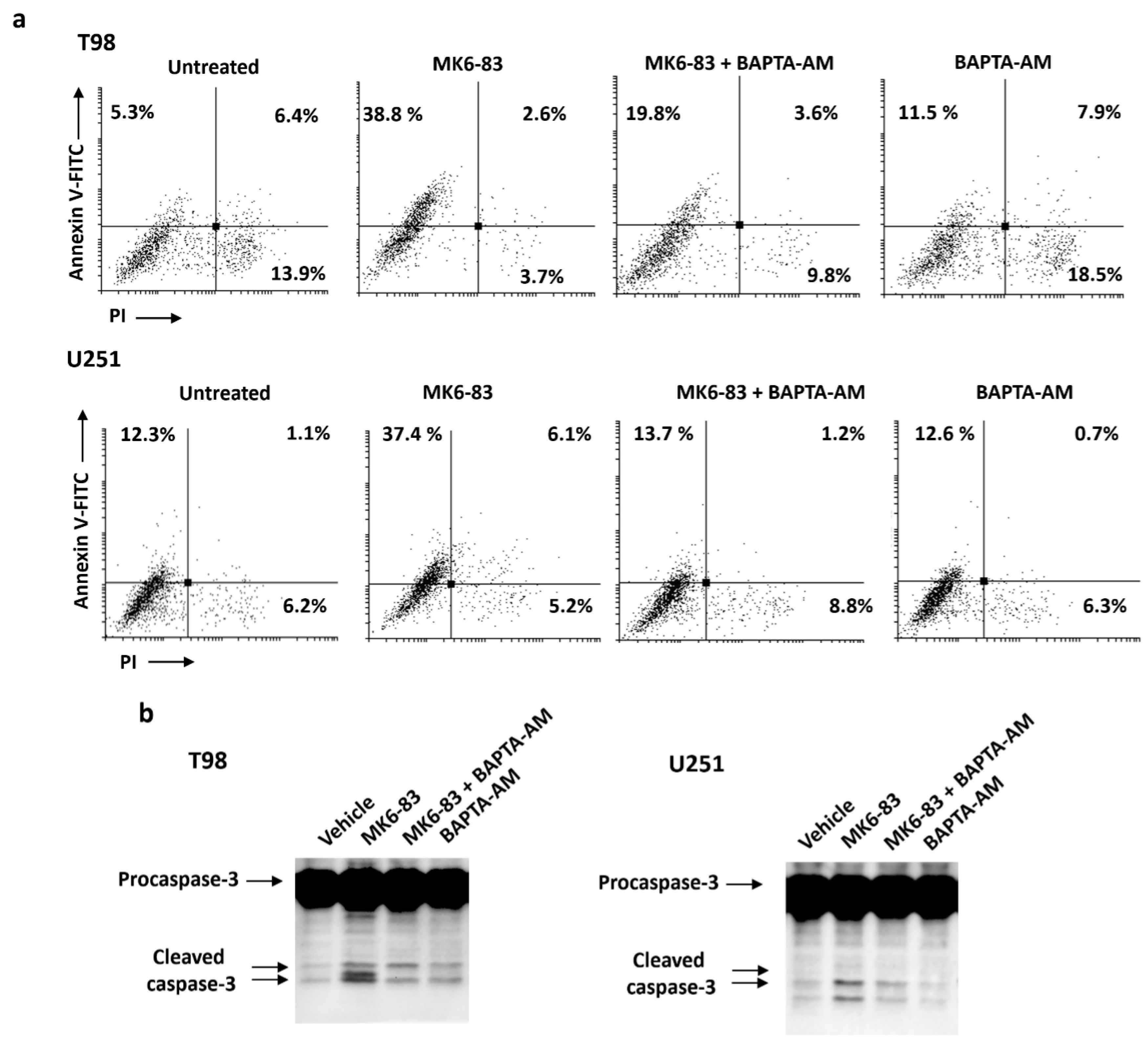 Cancers 11 00525 g005 Cancers 11 00525 g005