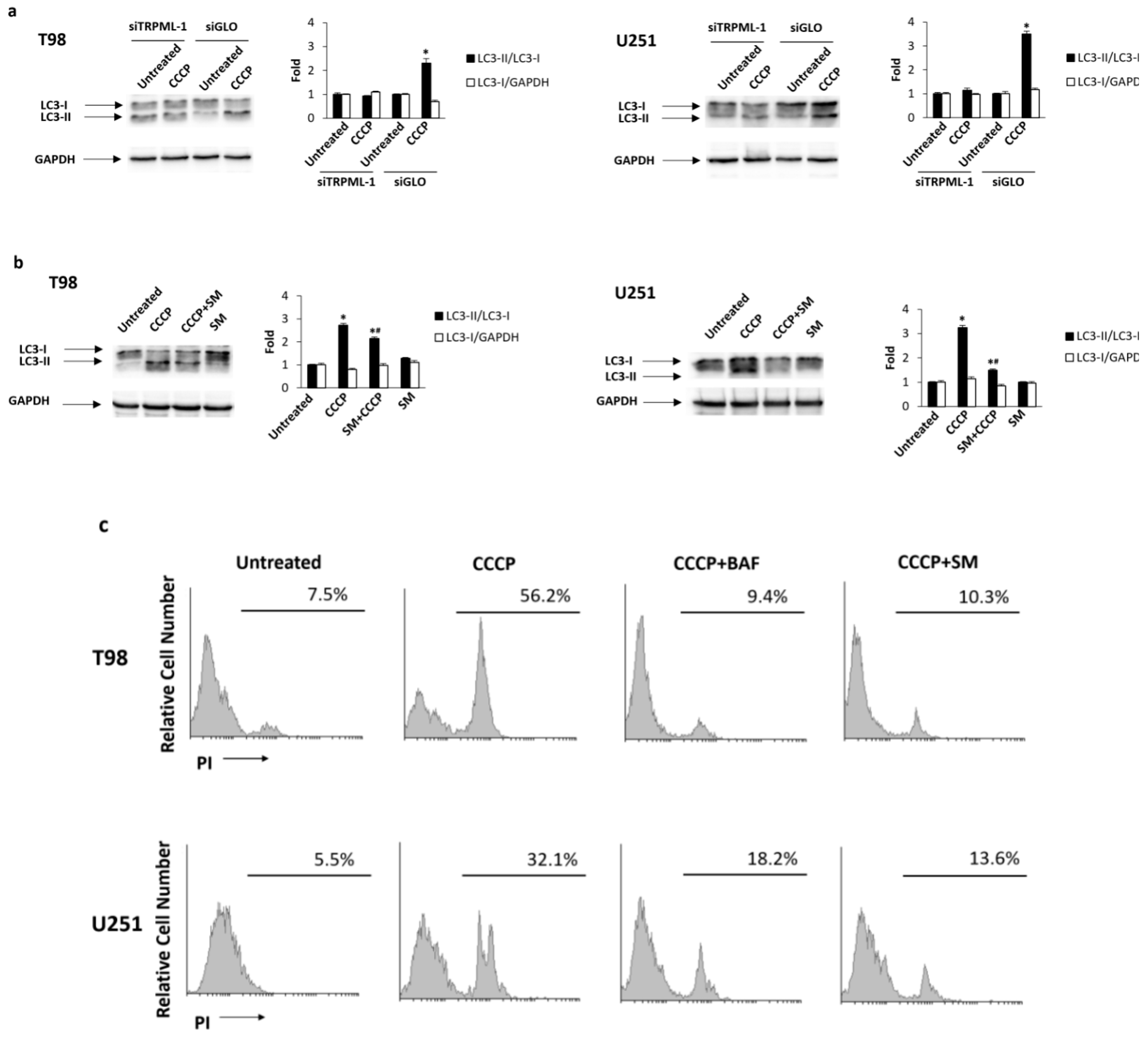 Cancers 11 00525 g007 Cancers 11 00525 g007