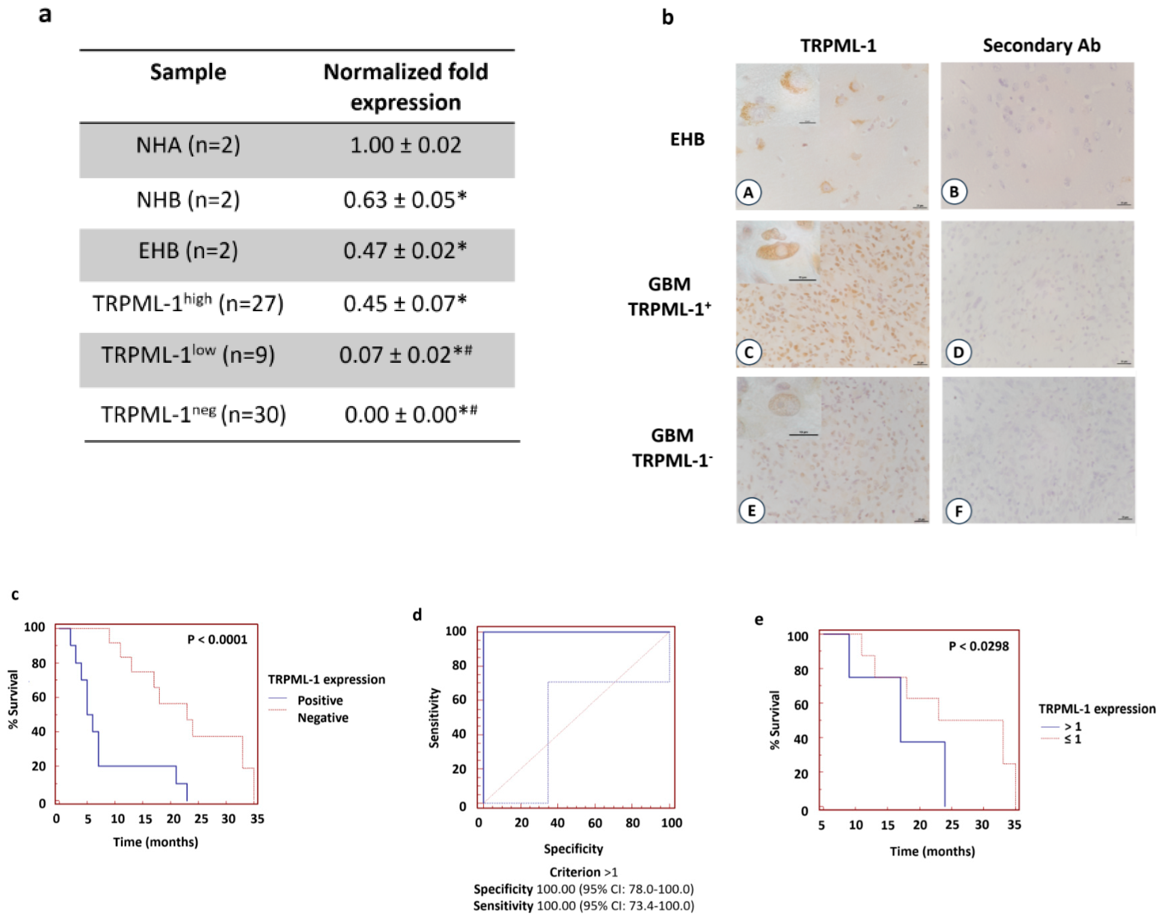 Cancers 11 00525 g008 Cancers 11 00525 g008