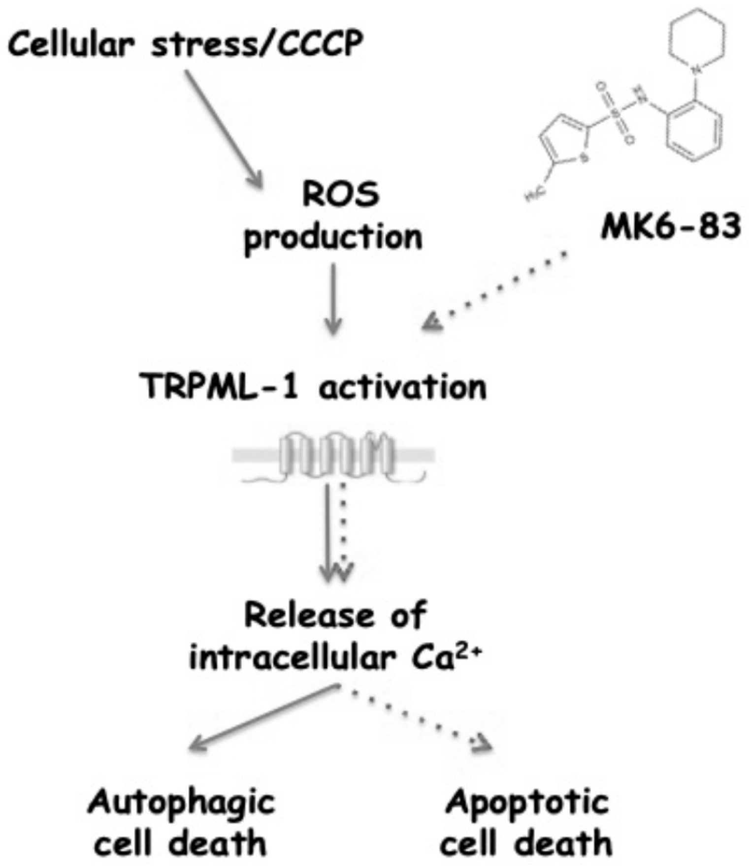 Cancers 11 00525 g009 Cancers 11 00525 g009