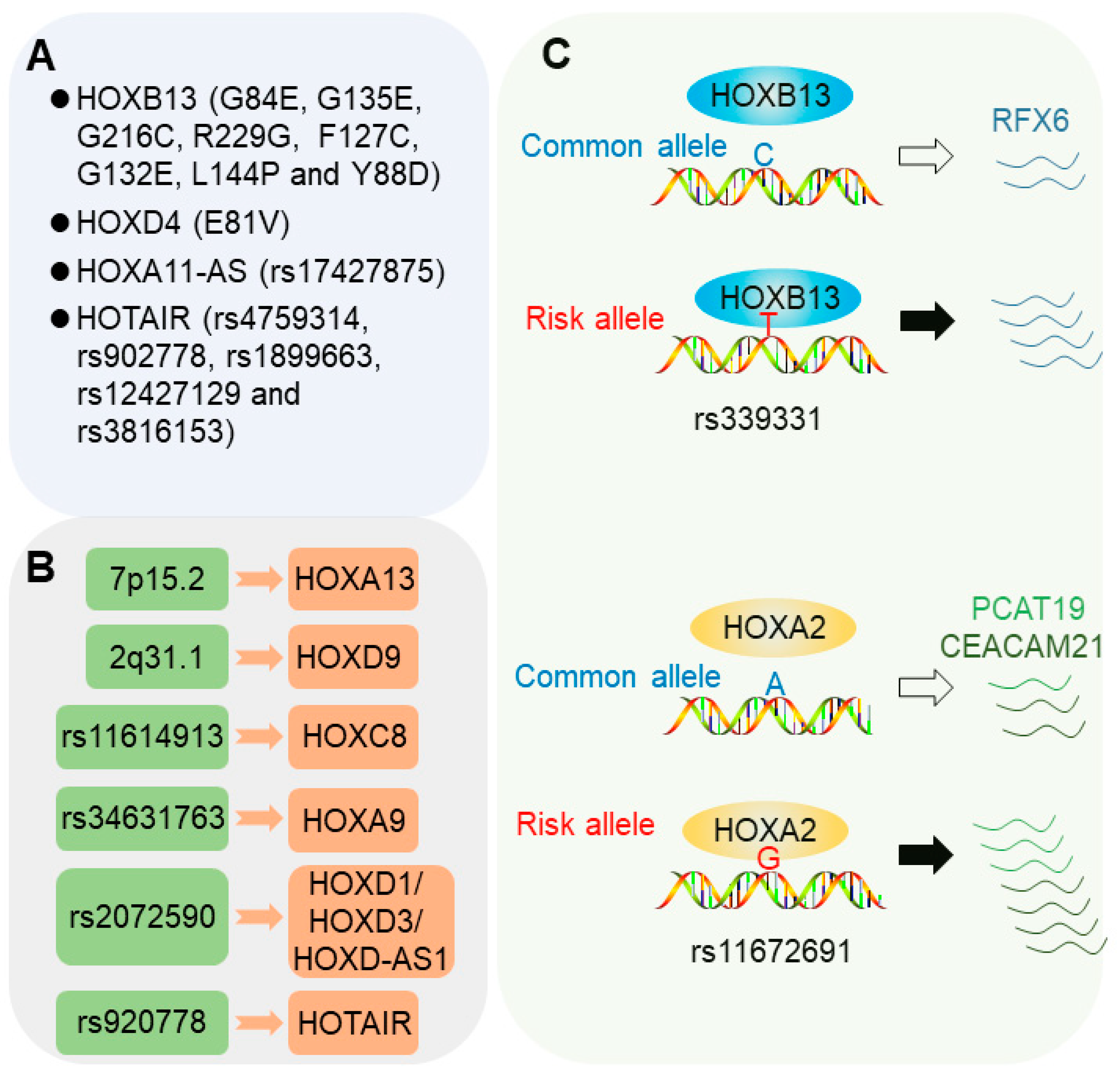 Cancers 11 00528 g001 Cancers 11 00528 g001