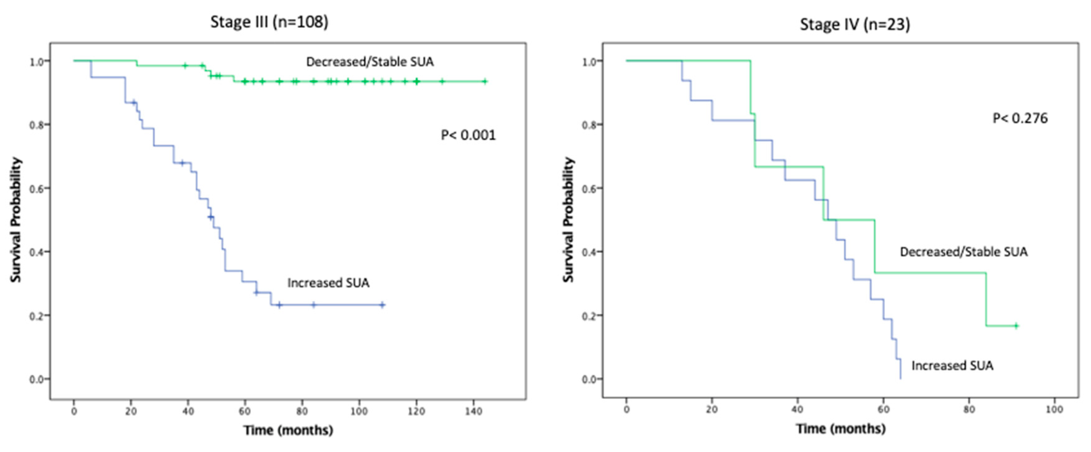 Cancers 11 00536 g004b