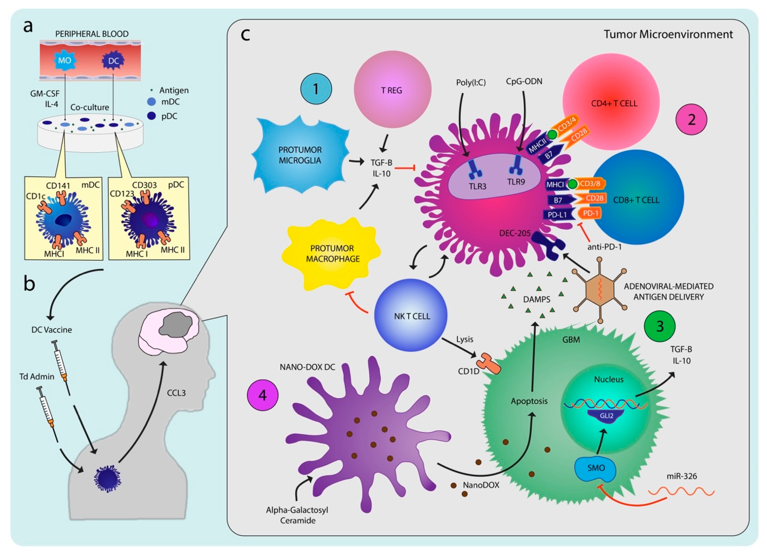 Cancers 11 00537 g002