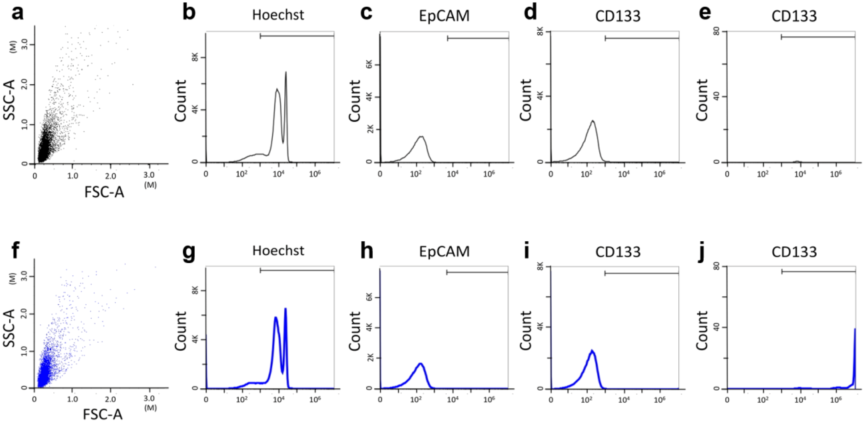 Cancers 11 00540 g003
