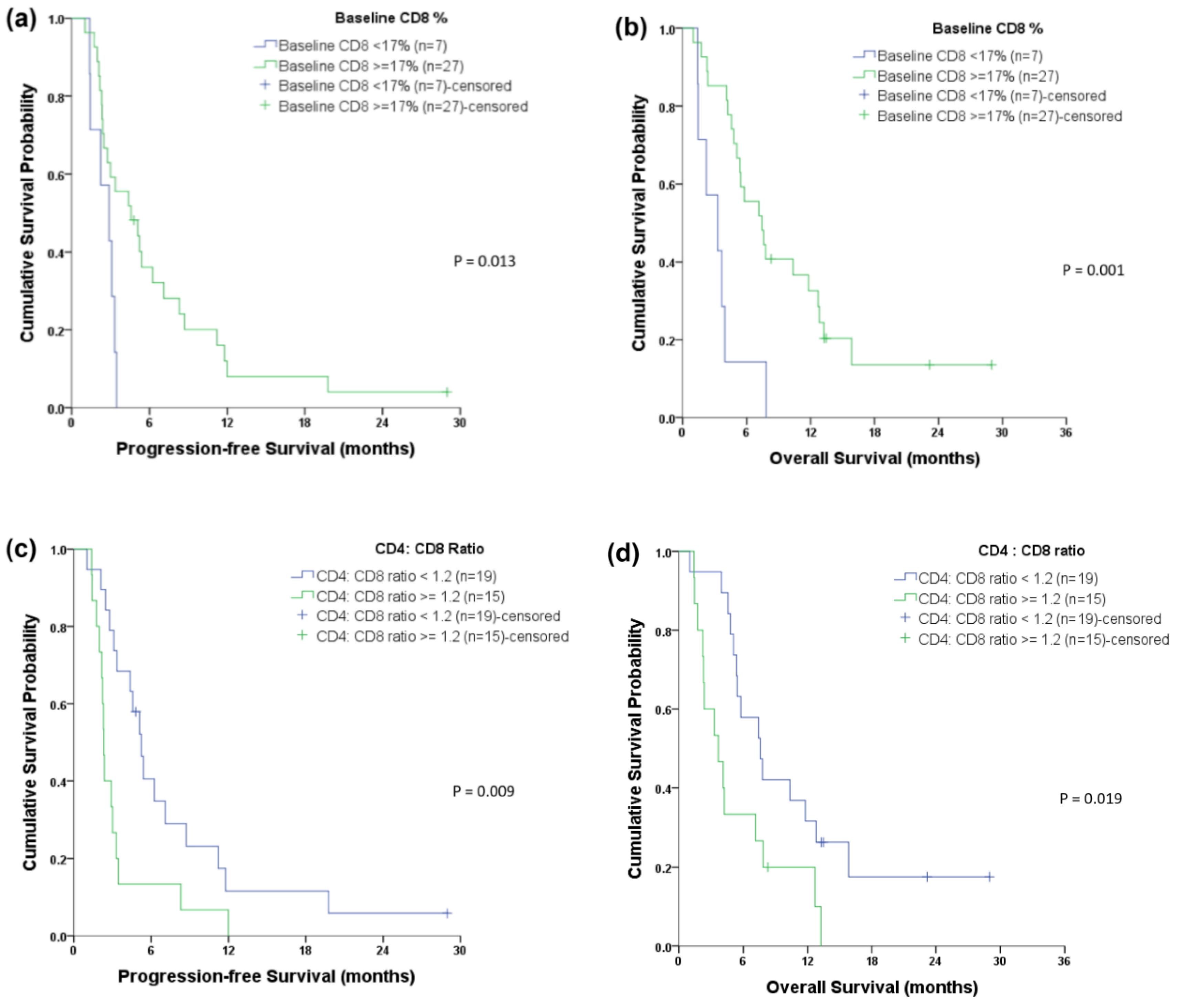 Cancers 11 00540 g004
