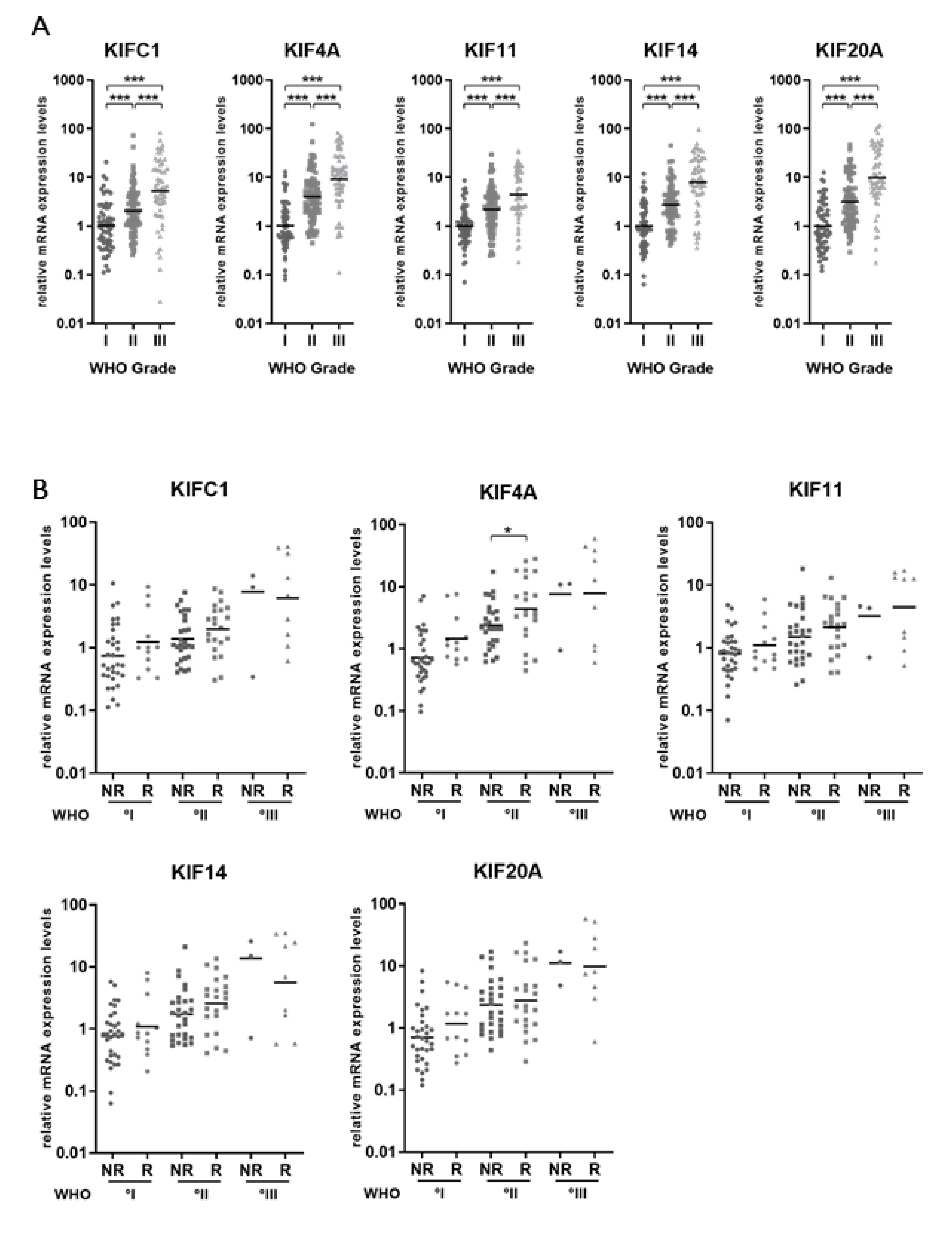 Cancers 11 00545 g001