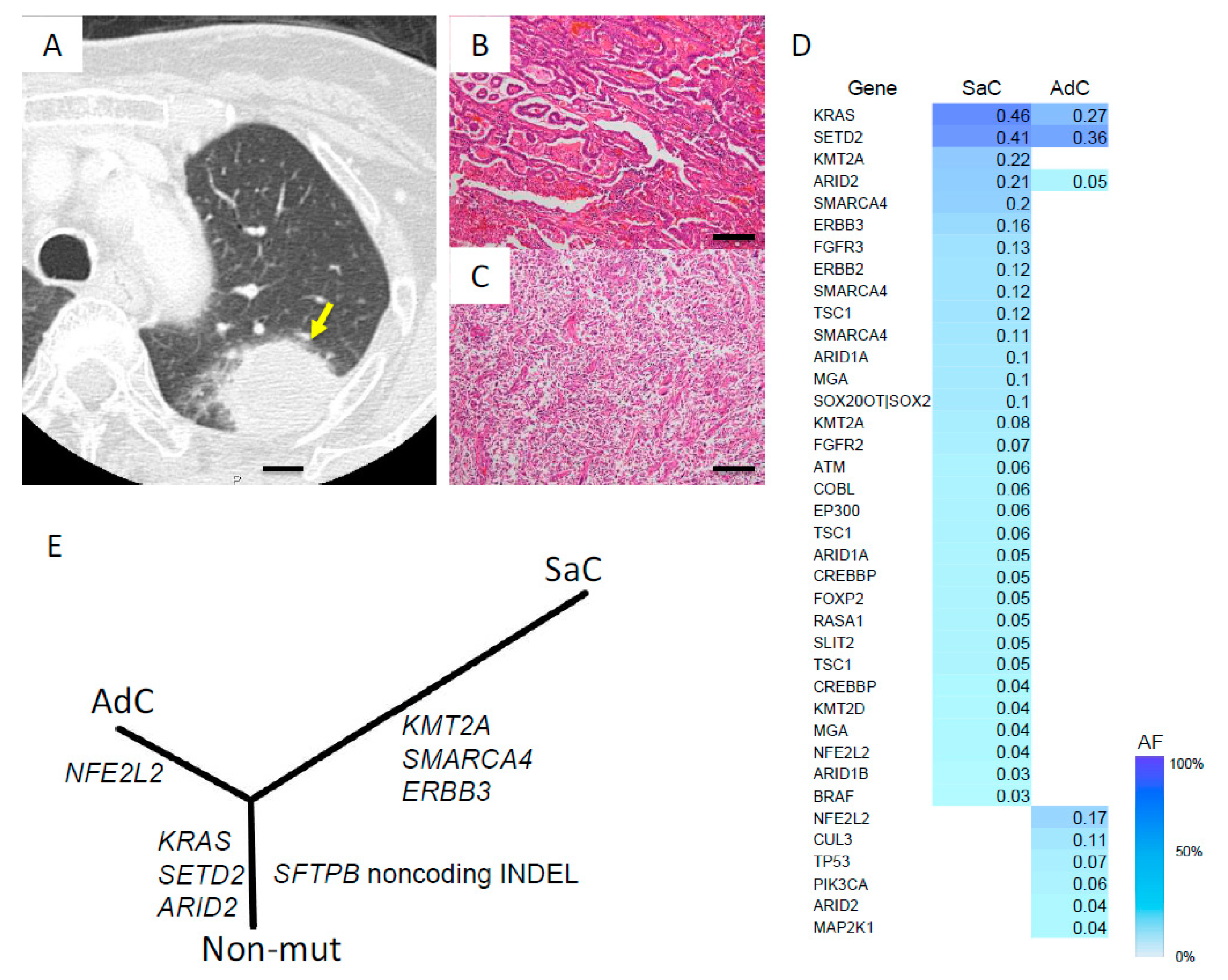 Cancers 11 00552 g005 Cancers 11 00552 g005