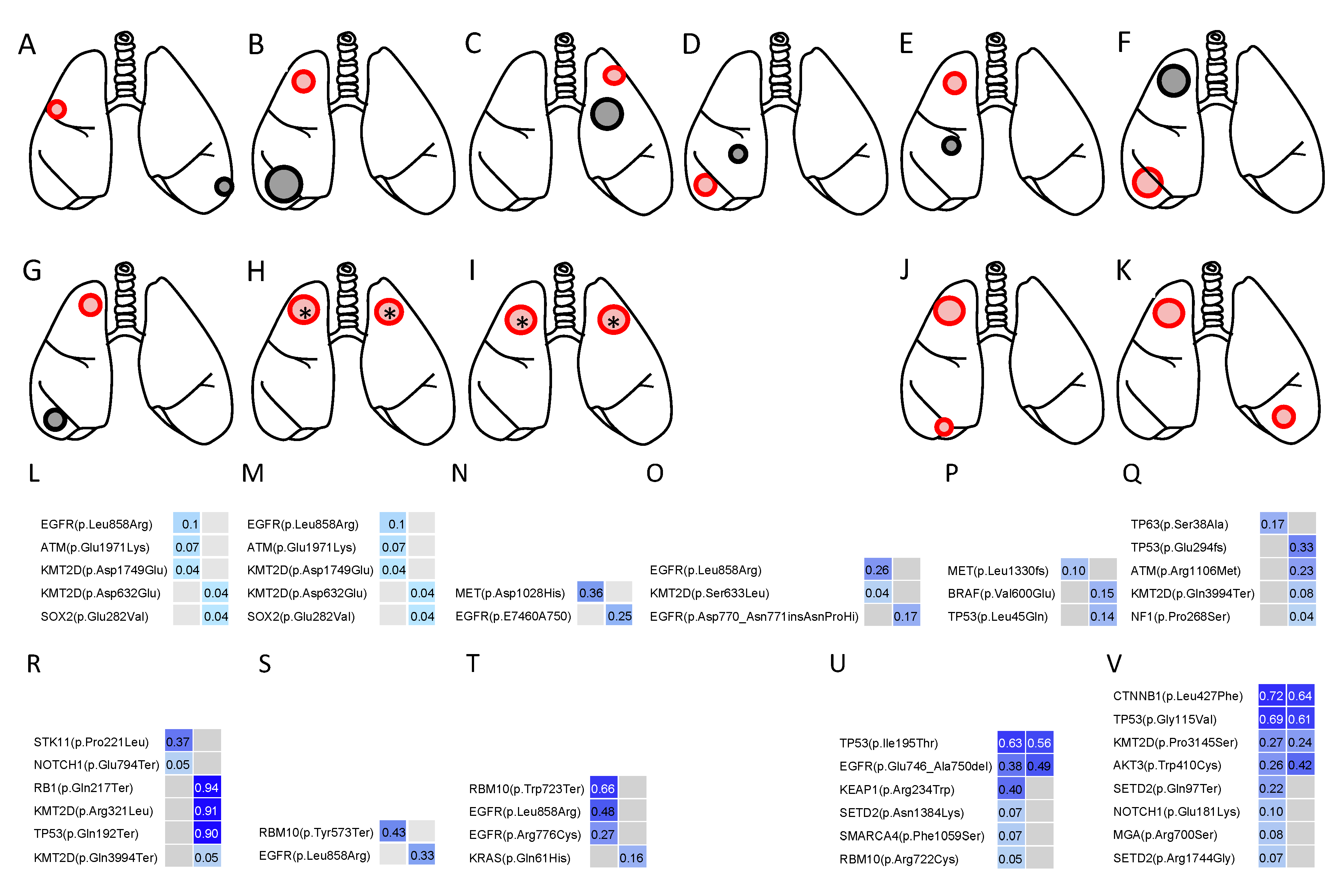 Cancers 11 00552 g006 Cancers 11 00552 g006