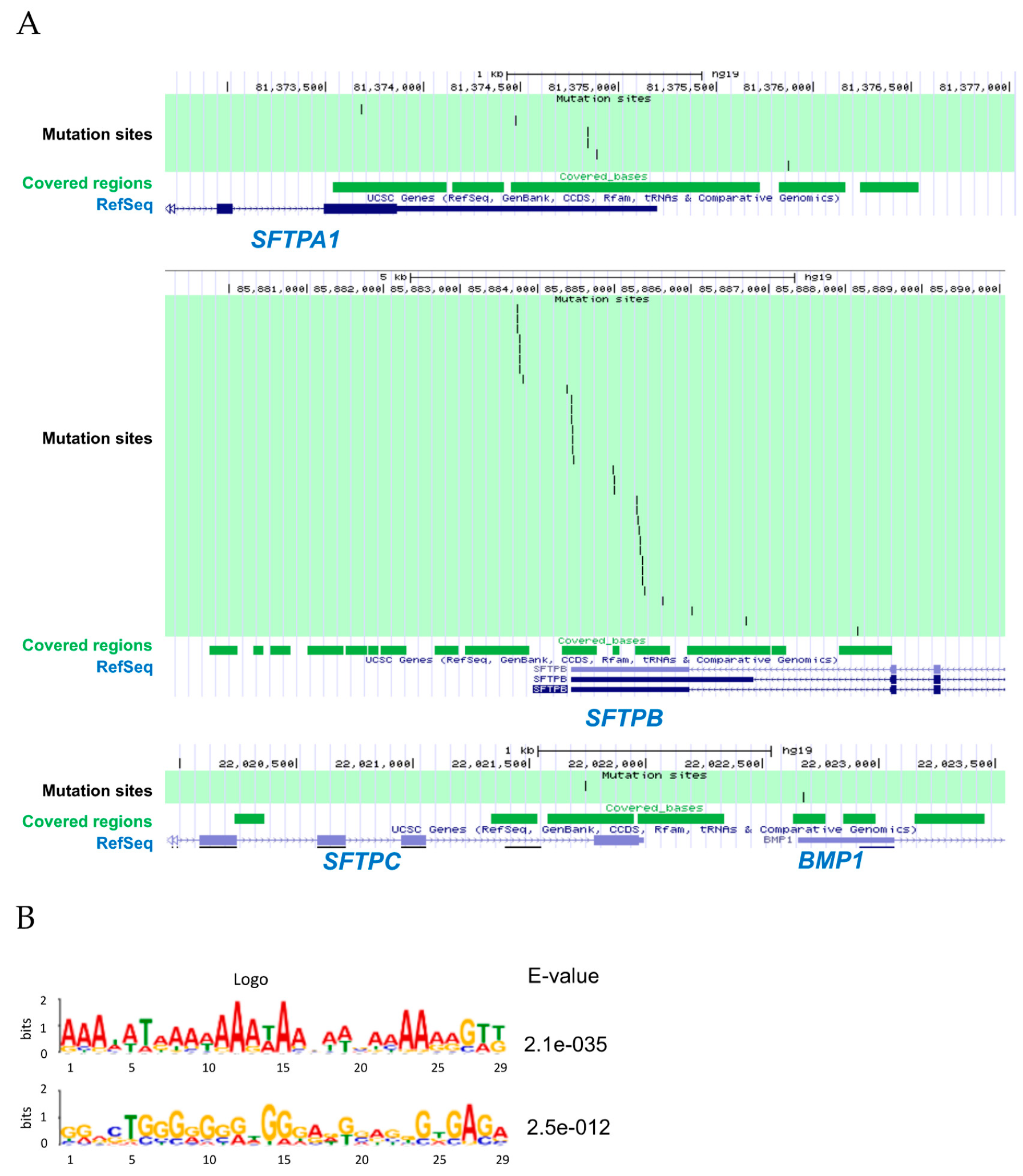 Cancers 11 00552 g008 Cancers 11 00552 g008