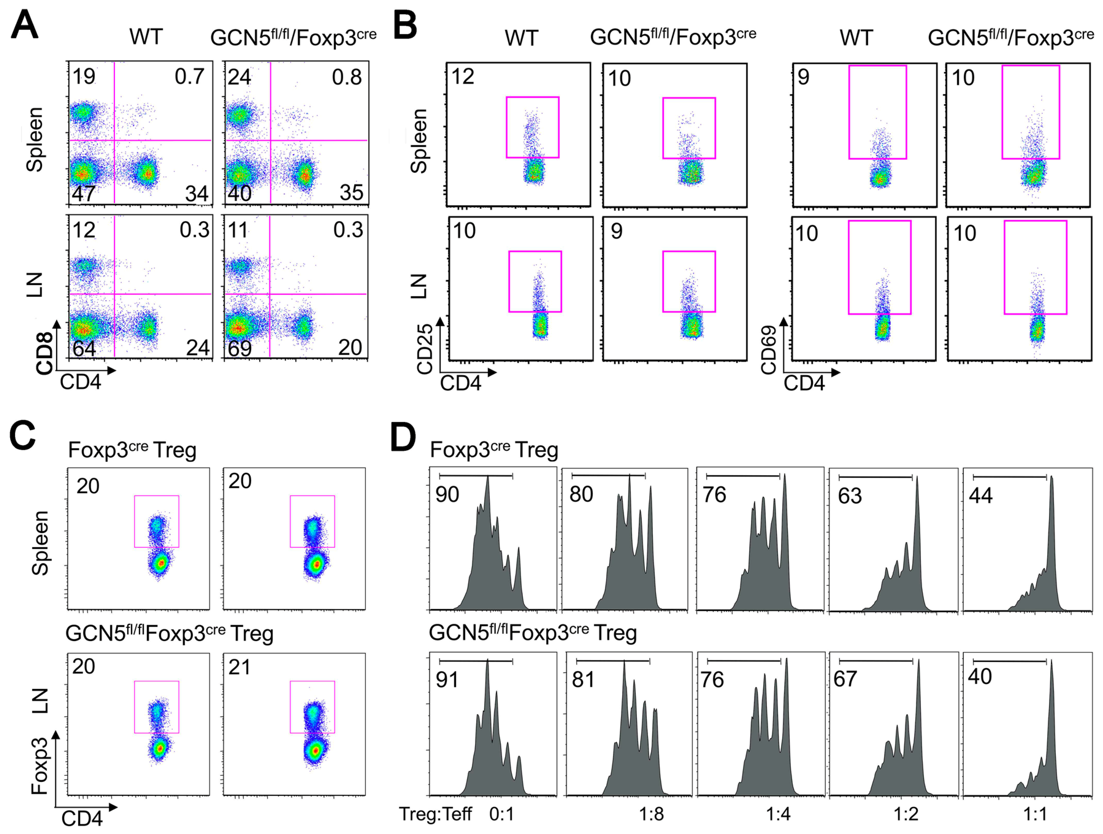 Cancers 11 00554 g001a