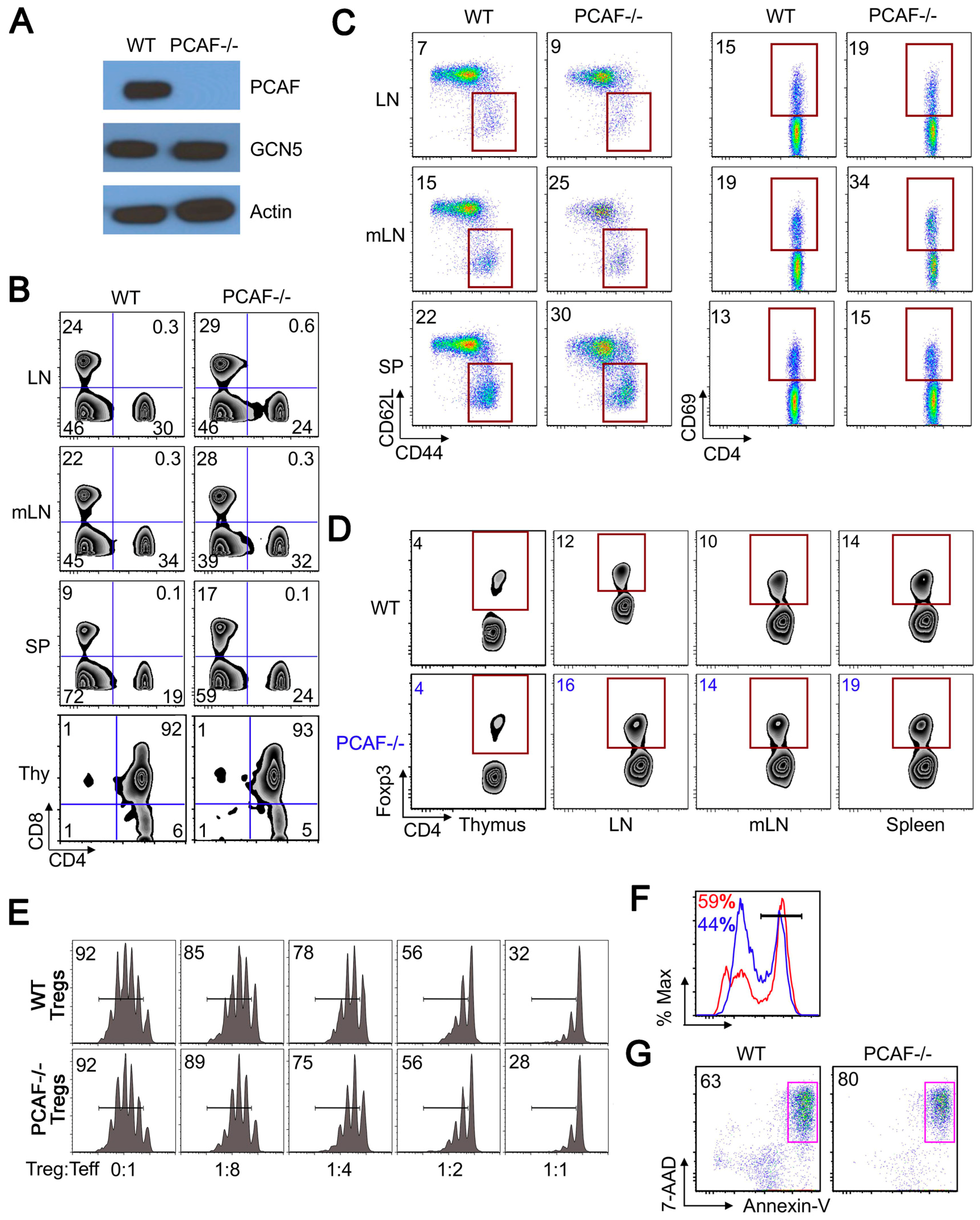 Cancers 11 00554 g002